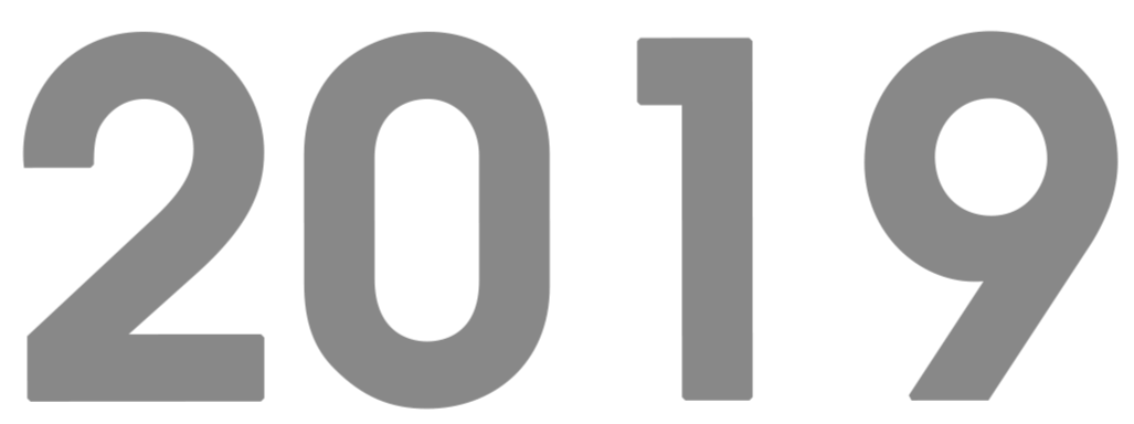 Large gray bold text displaying the year 2019.