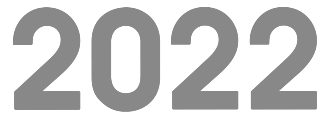 Large gray bold text displaying the year 2022.