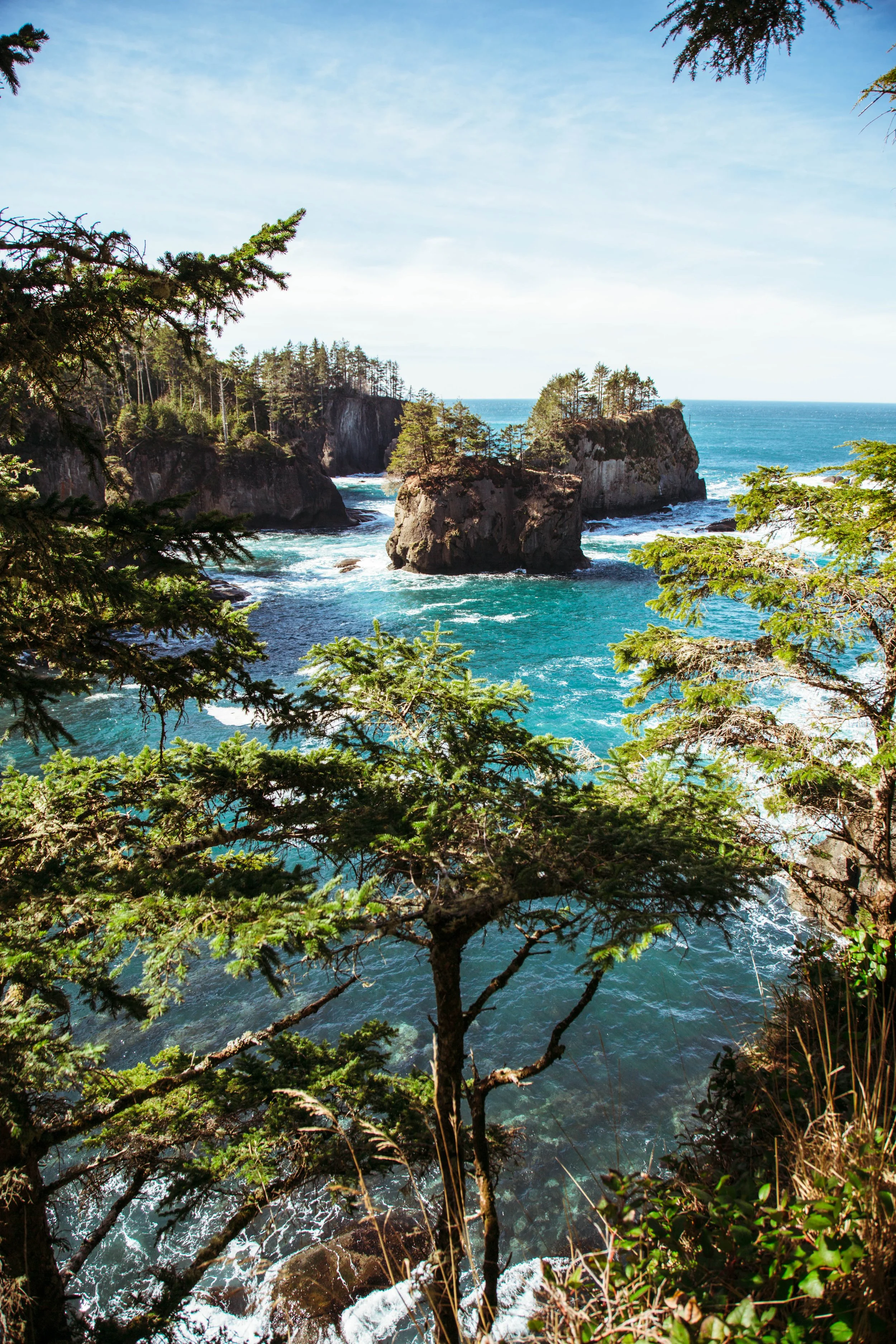 Coastal view of rugged cliffs and rocky outcroppings surrounded by vibrant greenery and bright blue ocean water under a clear sky.