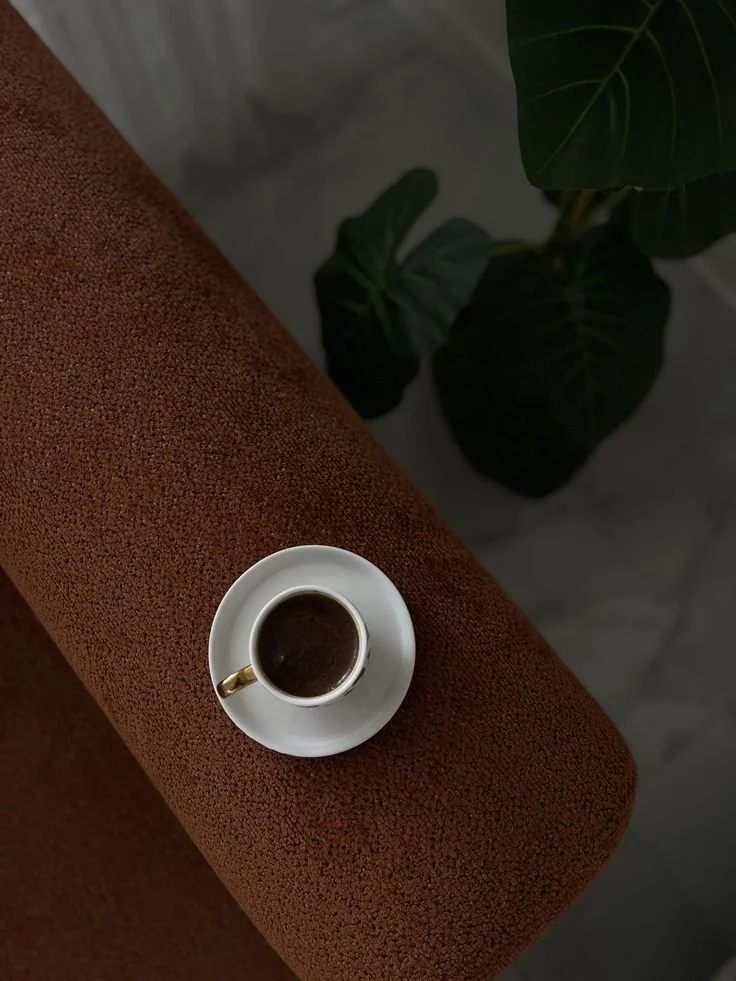 A white coffee cup filled with espresso on a matching saucer, placed on a textured burnt orange surface with a green leafy plant in the background.
