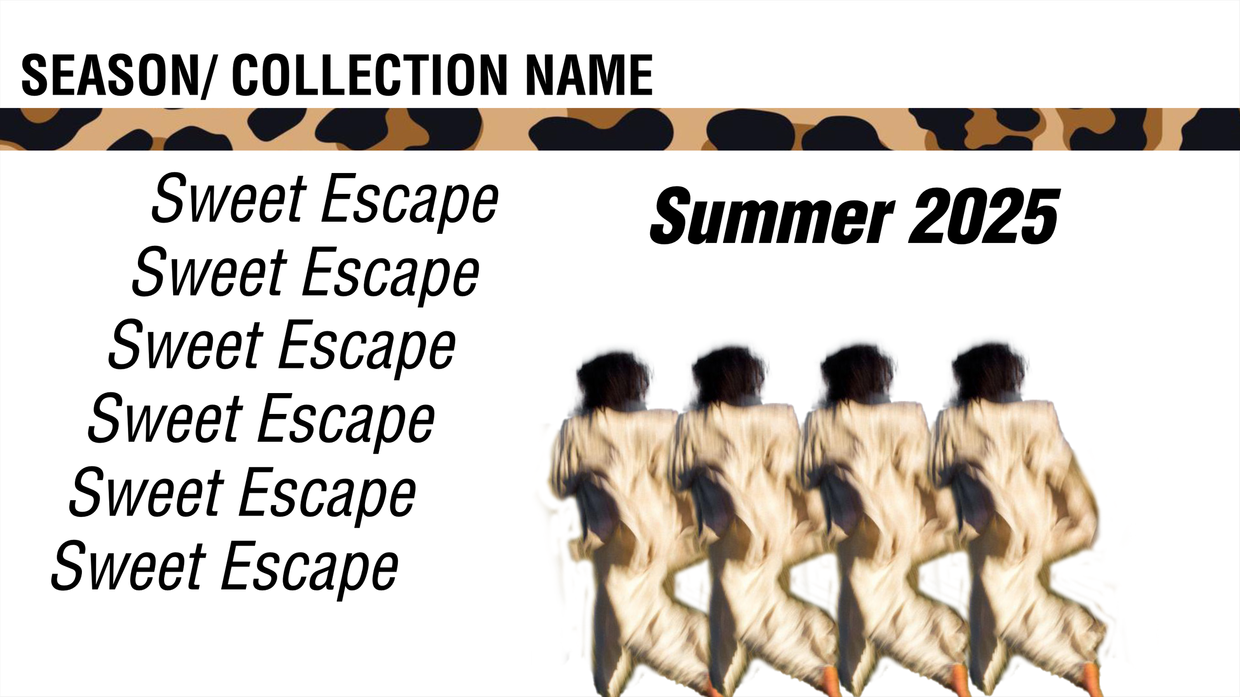Collection Introduced