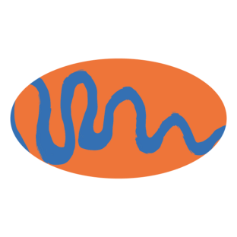 Stylized oval shape with orange background and blue squiggly lines.