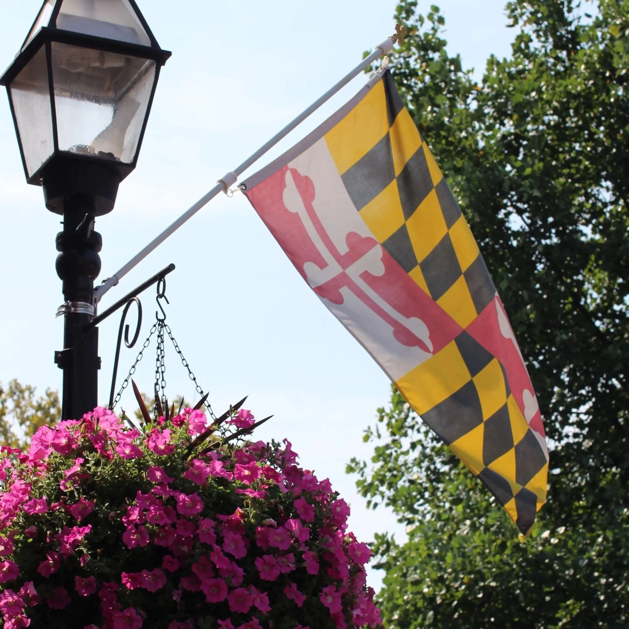 Maryland's new doula law, and what it means for your hospital birth