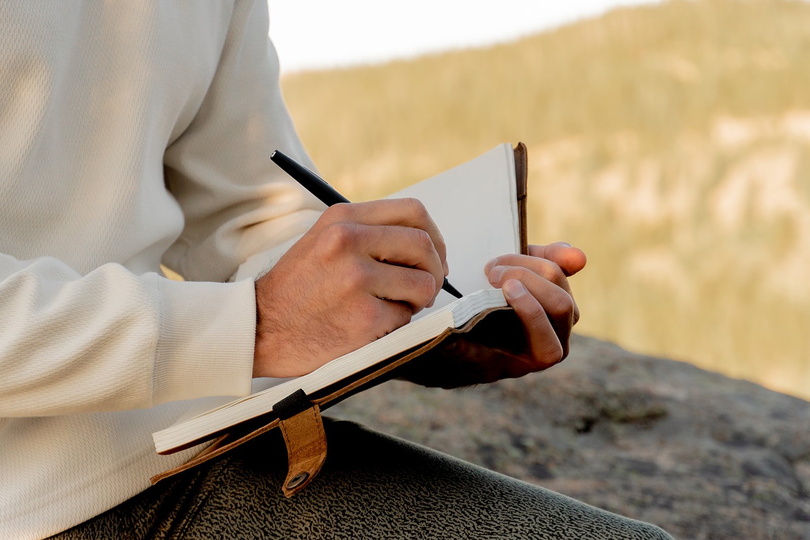 Evolution Mapping (Virtual)