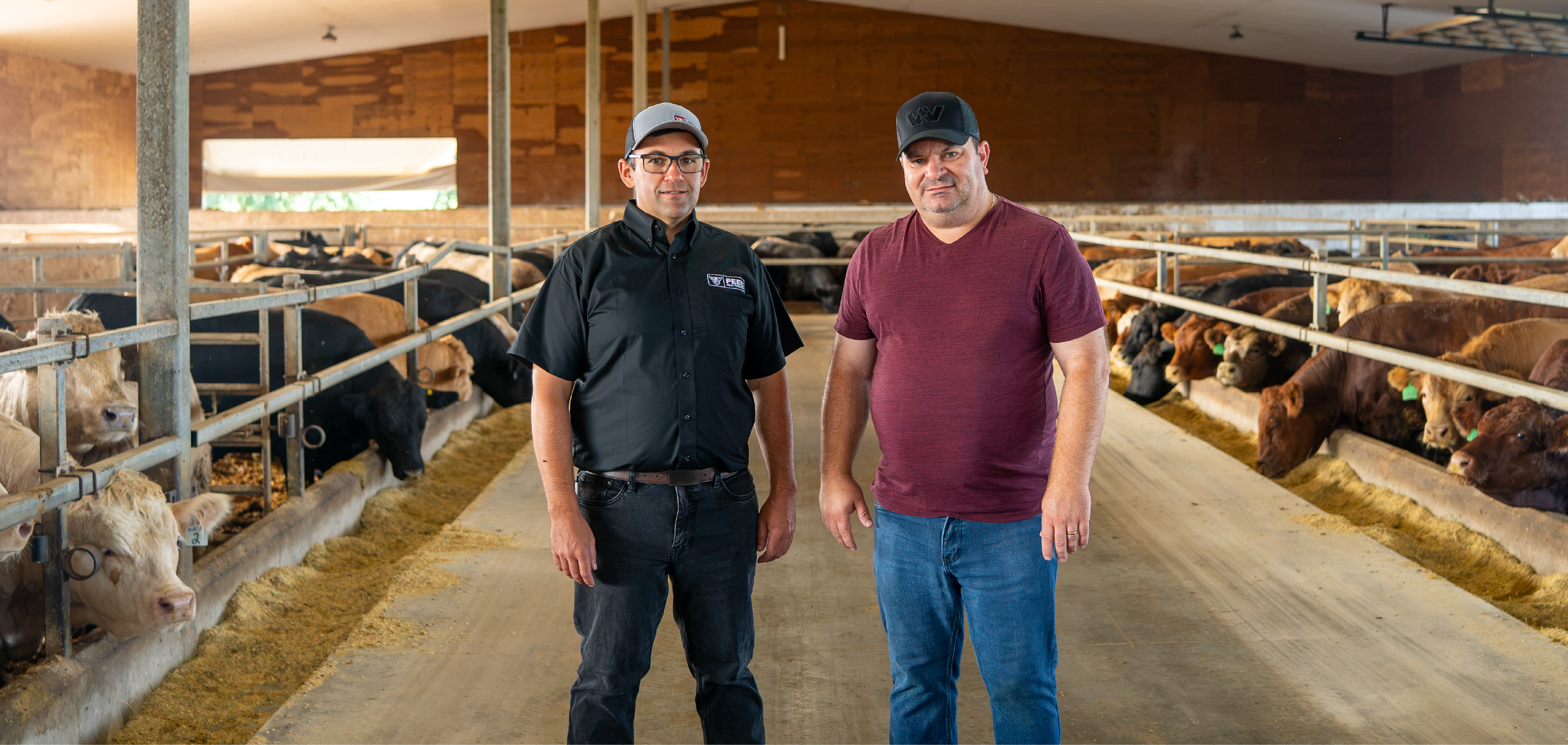 Delmer Martin with a farmer partner inside a barn with cows eating hay in the background.