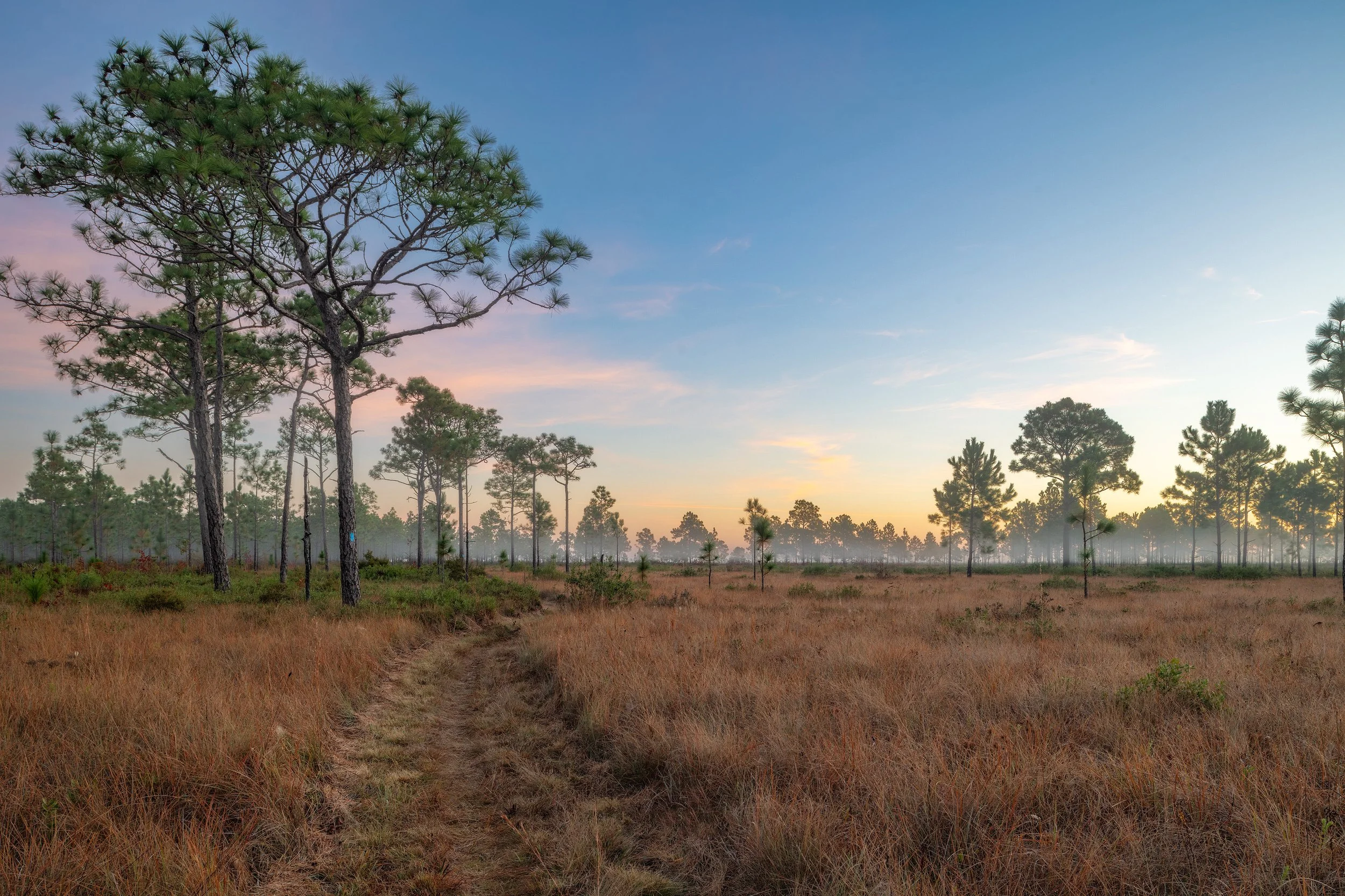Finding Beauty in the Everyday: Training Your Photographer’s Eye