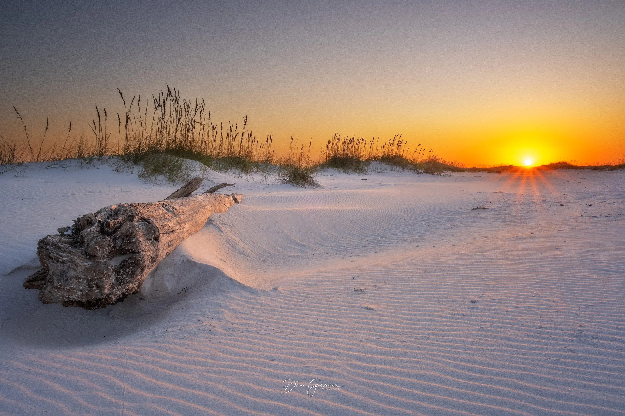 How Photography Helped Me See My Own Backyard Differently