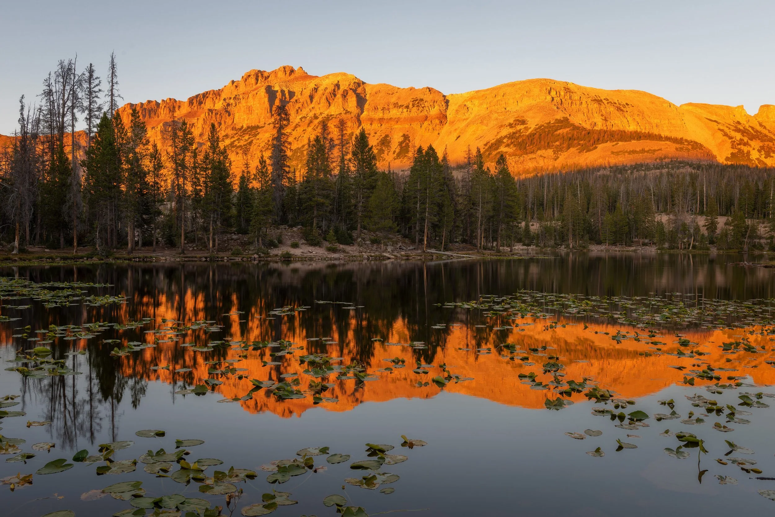 The Role of Light in Inspiration