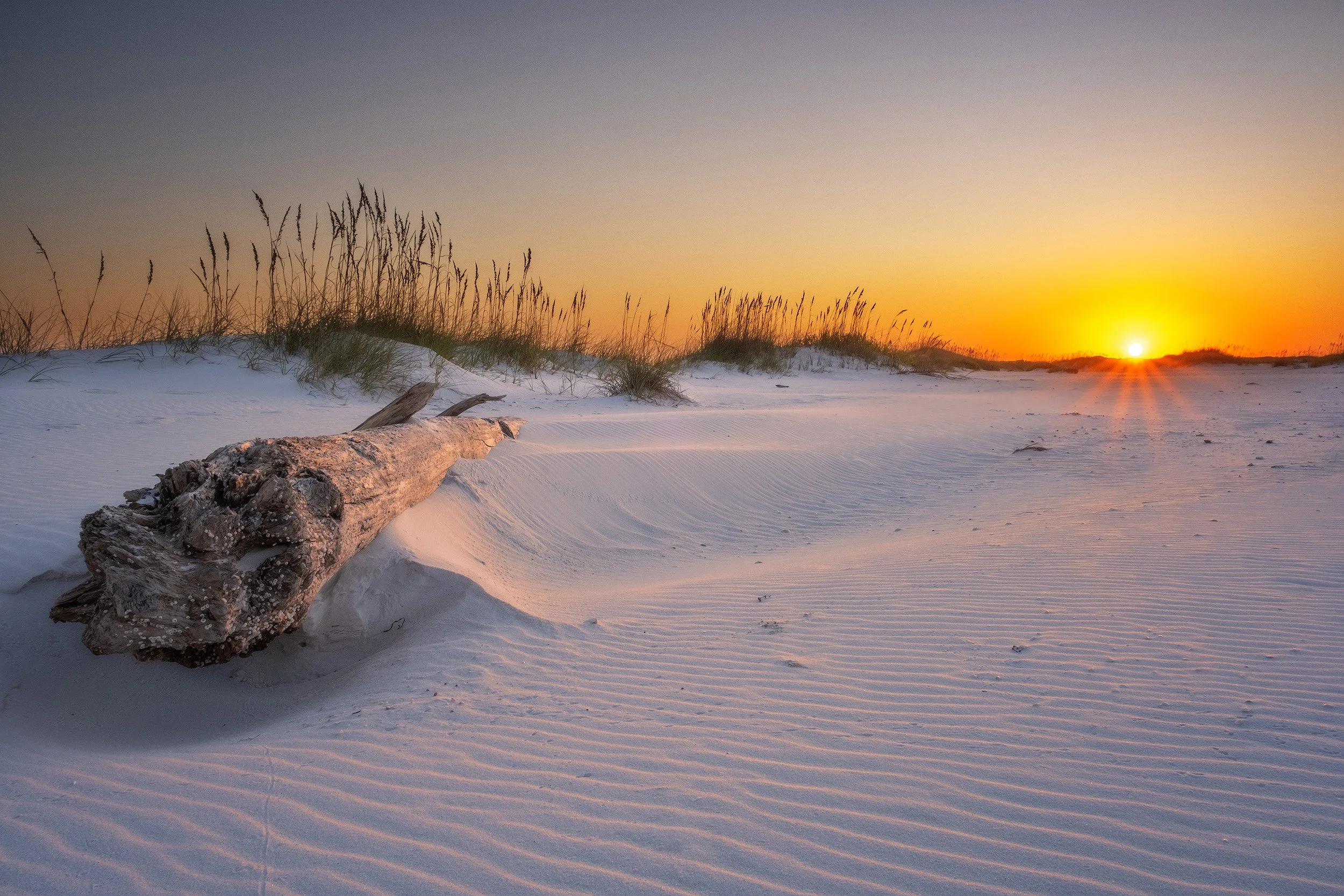 Driftwood sunset.jpg
