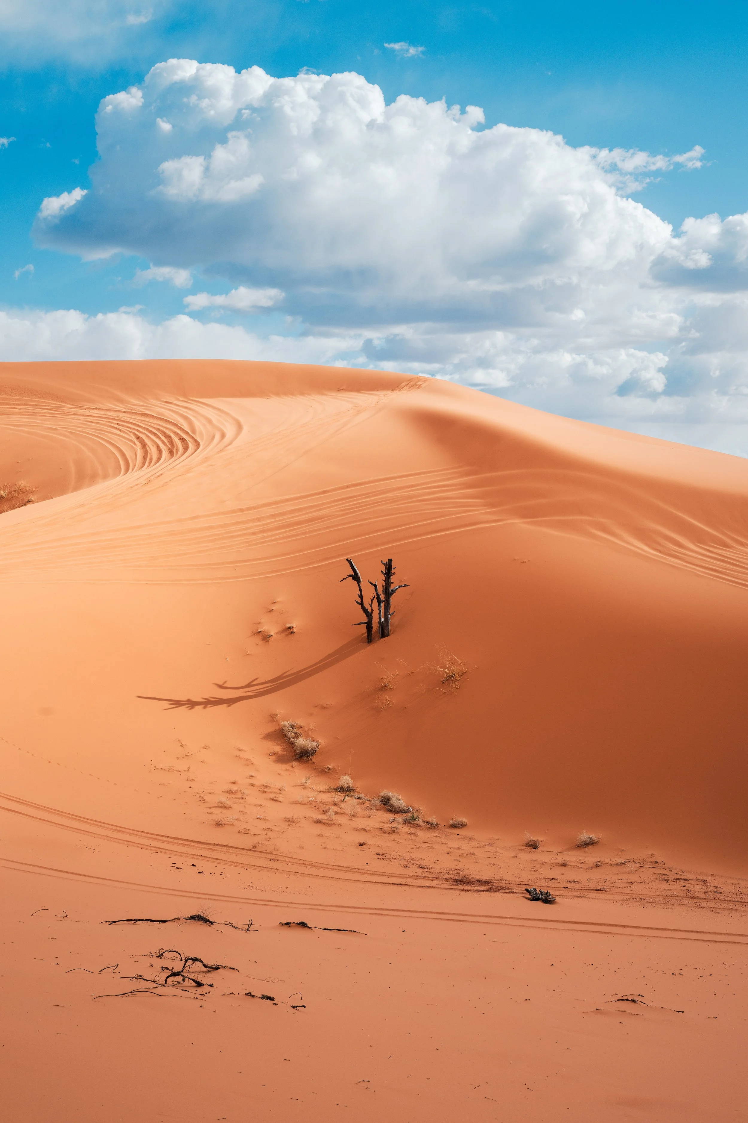 sand dune-Recovered-sharpened.jpg
