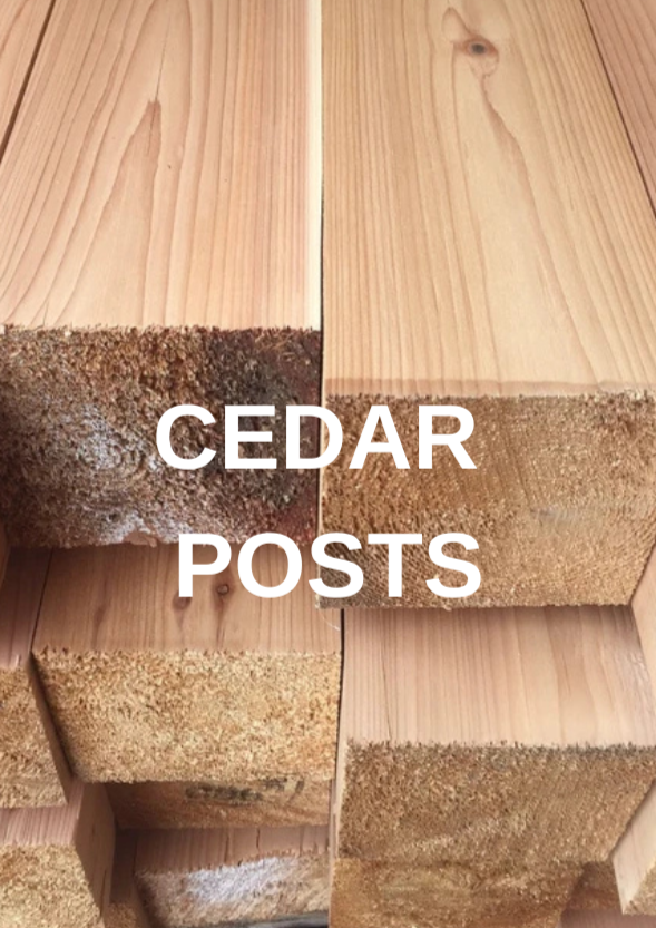 Close-up of stacked cedar wood posts showing natural wood grain and texture.
