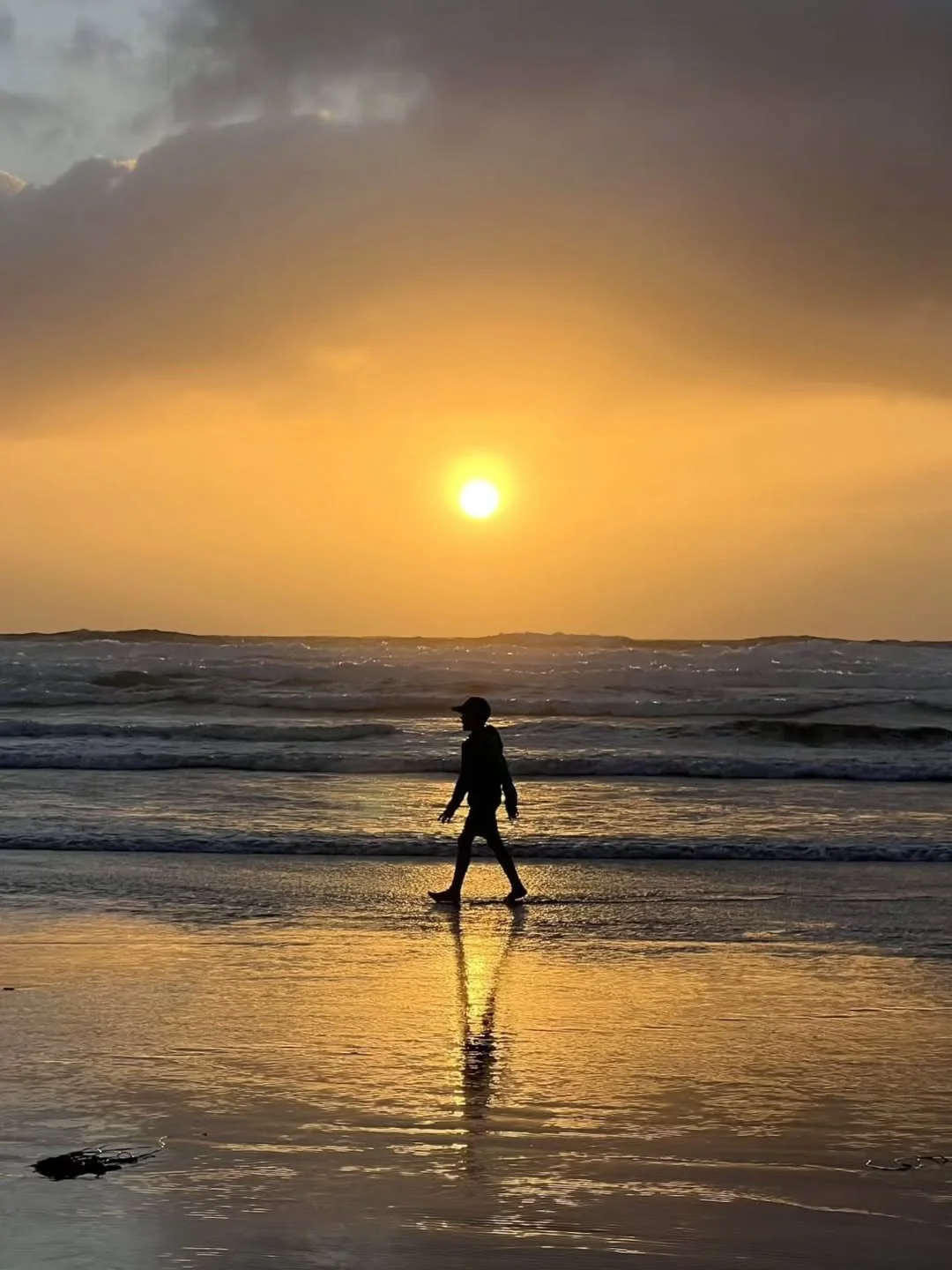 Brigitte B Burckhardt