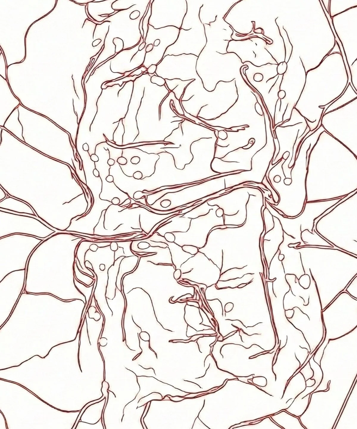 Picsart_26_01_23_16_37_45_562 (1).jpg