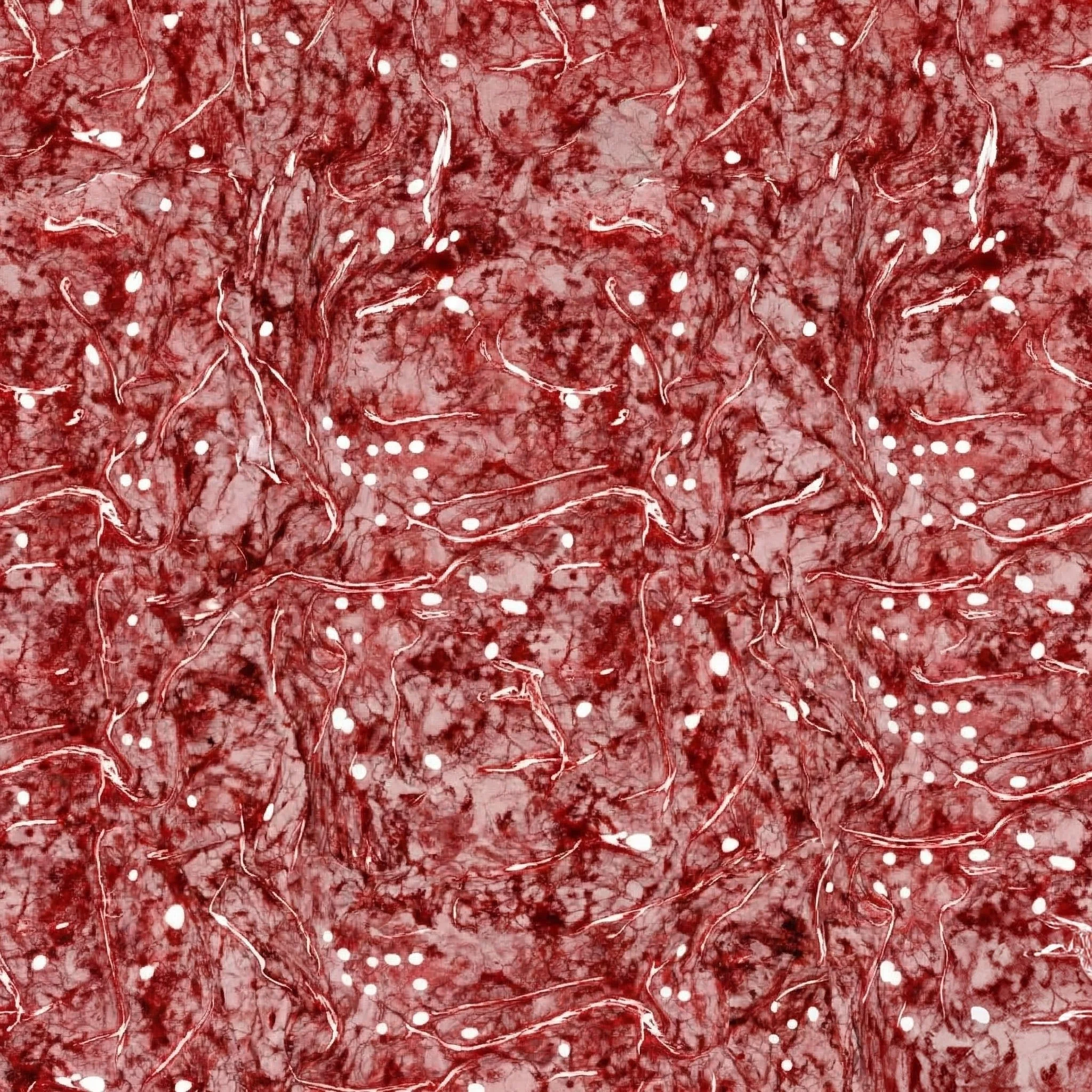 Picsart_26_01_25_14_17_47_388 (1).jpg