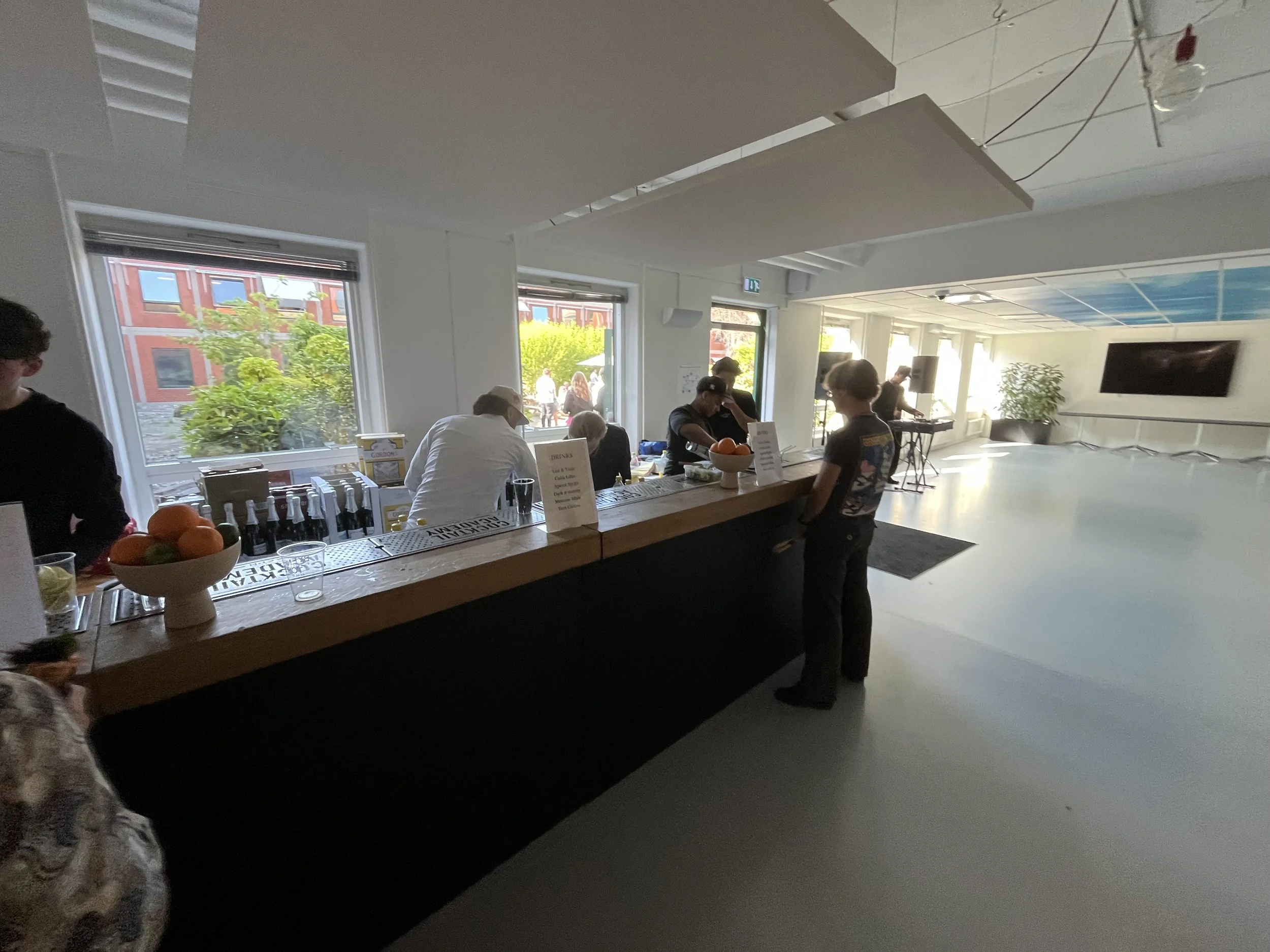 Sommerfest for Milestone Systems