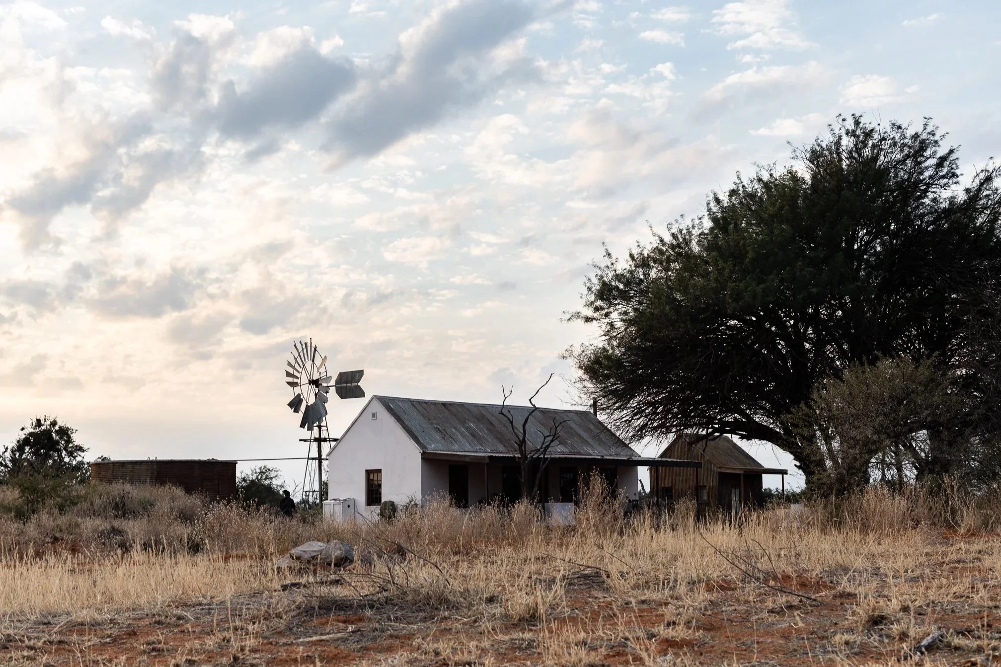 Tswalu Kalahari