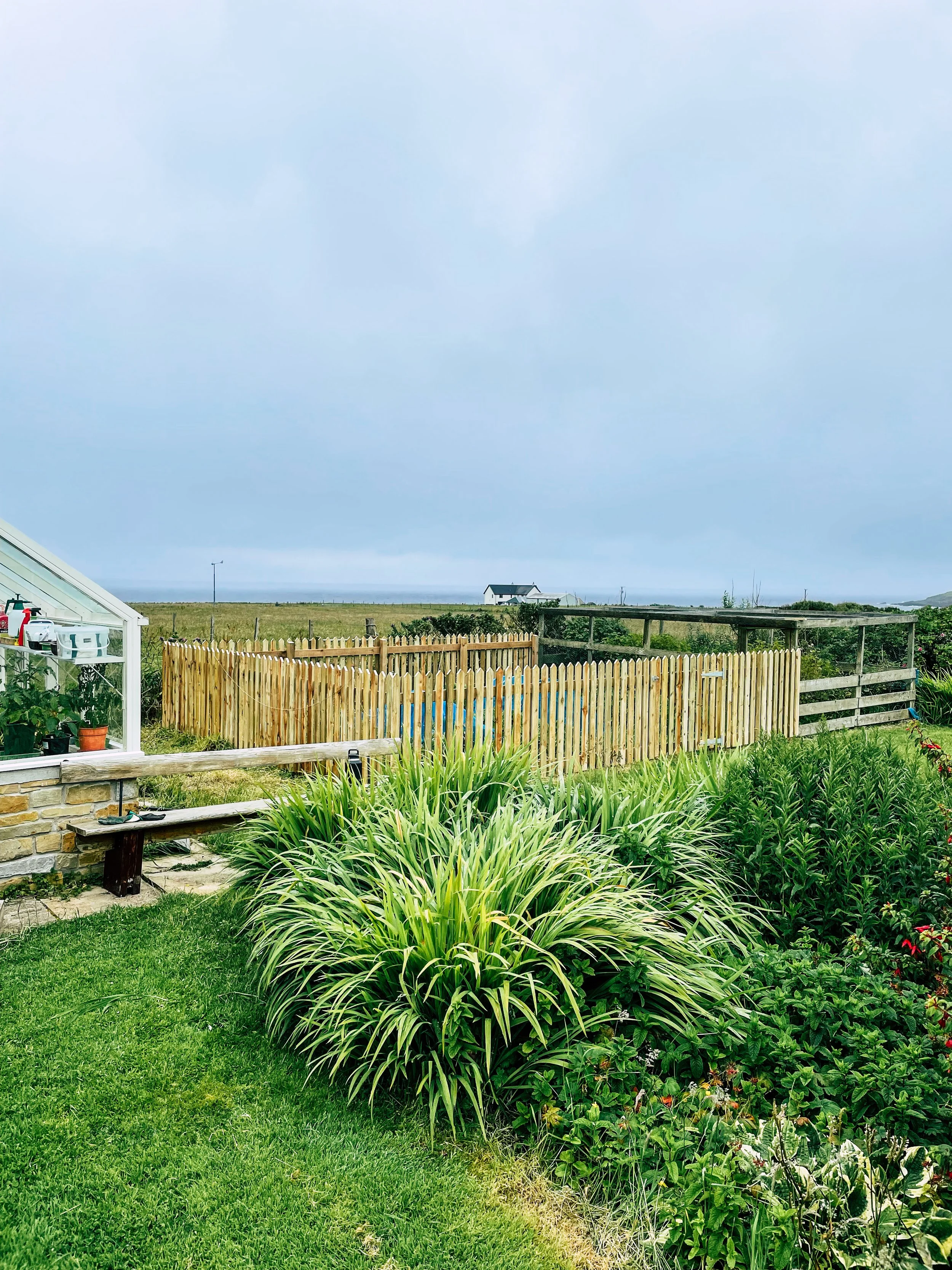 A backyard garden with green grass, lush plants, a wooden fence, a small greenhouse, and a cloudy sky.