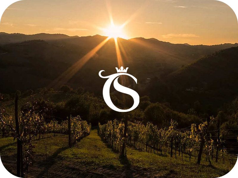 Tenuta Ca' Sciampagne