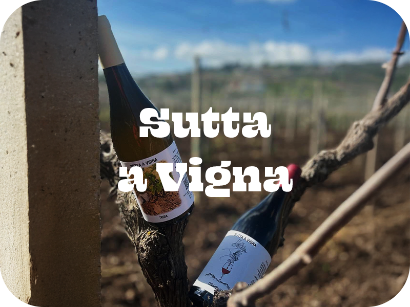 Sutta a Vigna