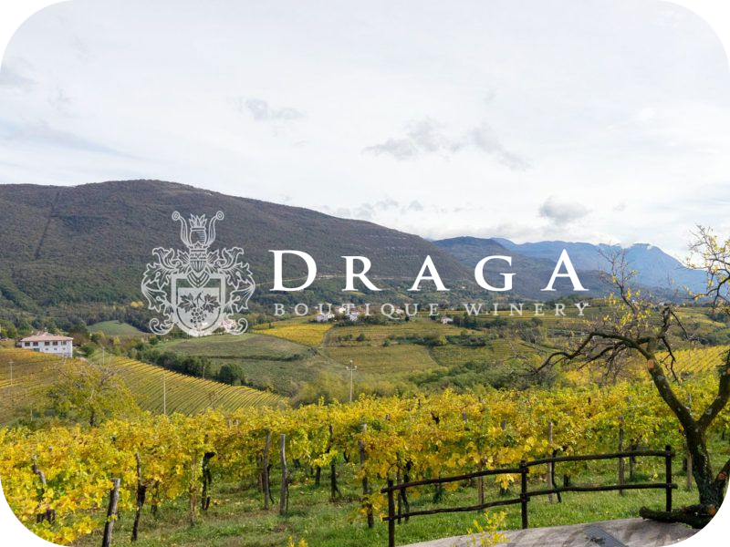 Draga Winery