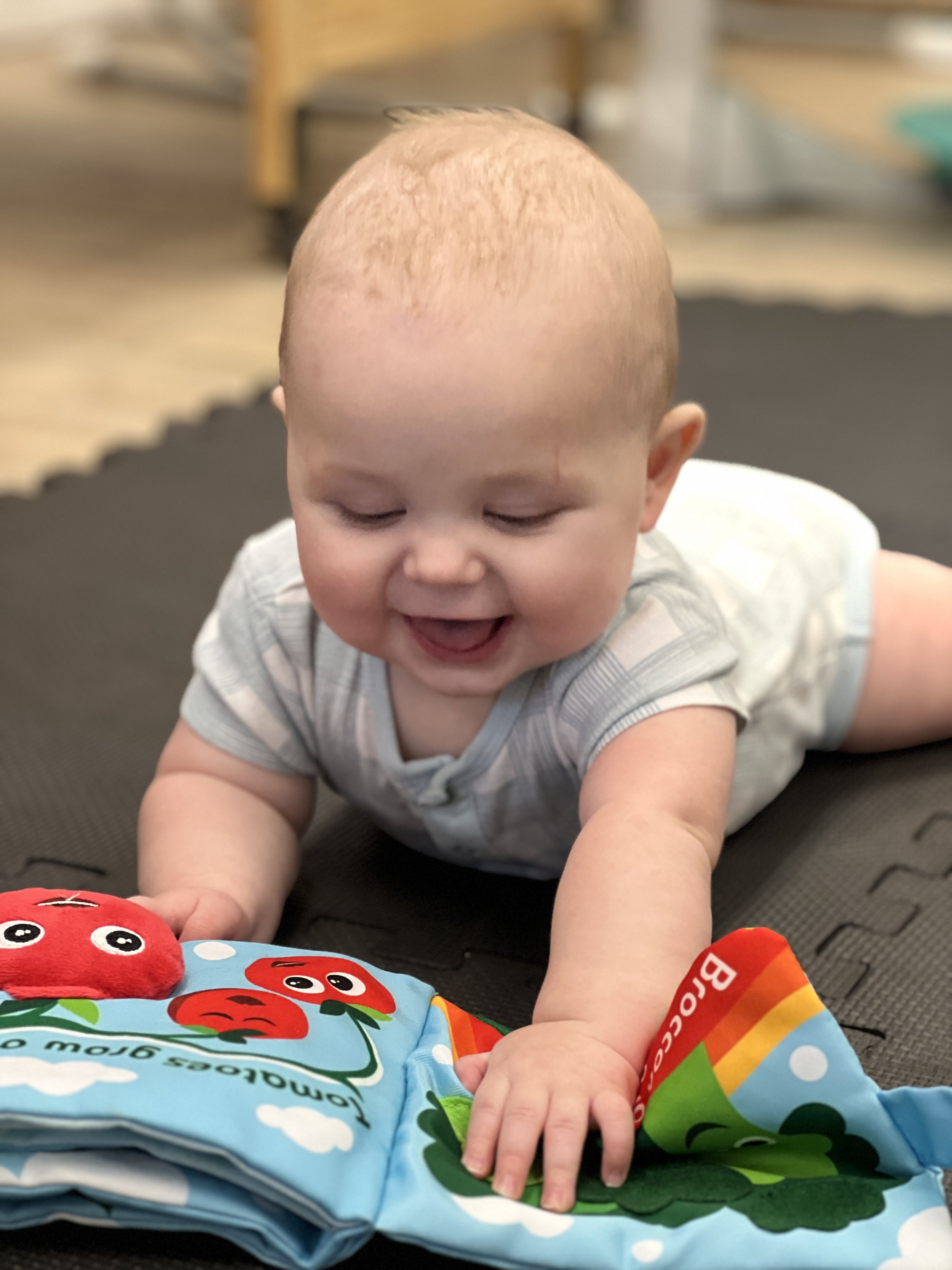 Montessori Academy of South Tampa