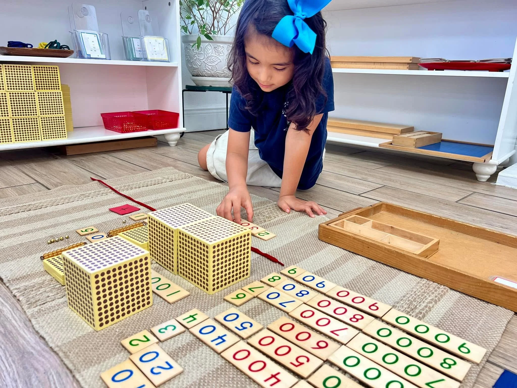 Montessori Academy of South Tampa