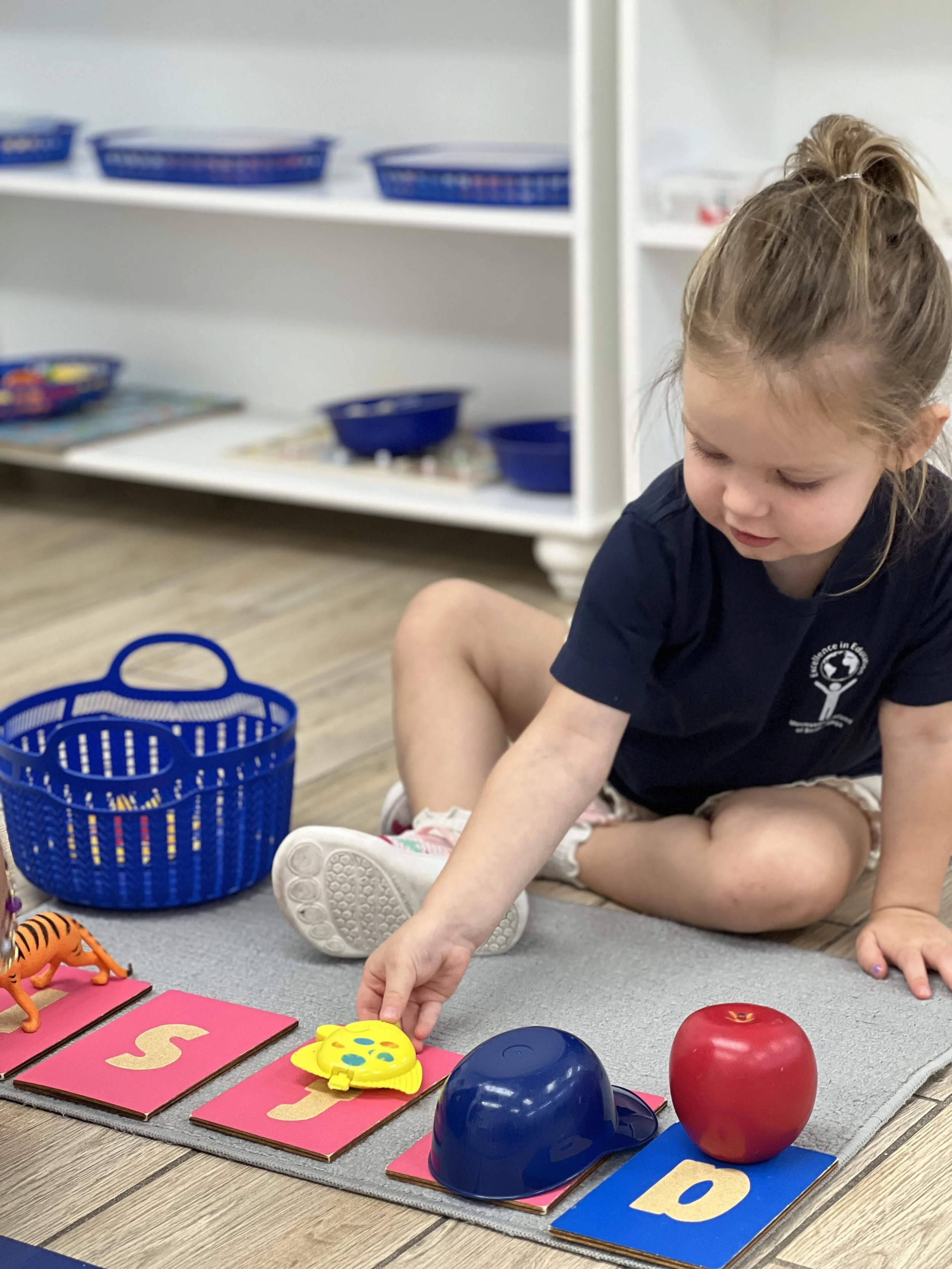 Montessori Academy of South Tampa