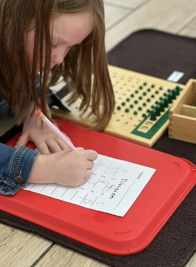 Montessori Academy of South Tampa