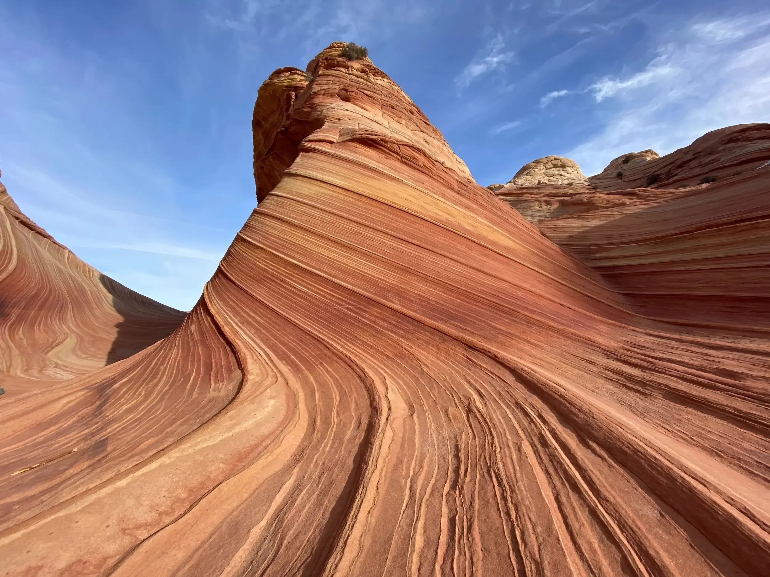 Jennifer Plumlee therapy