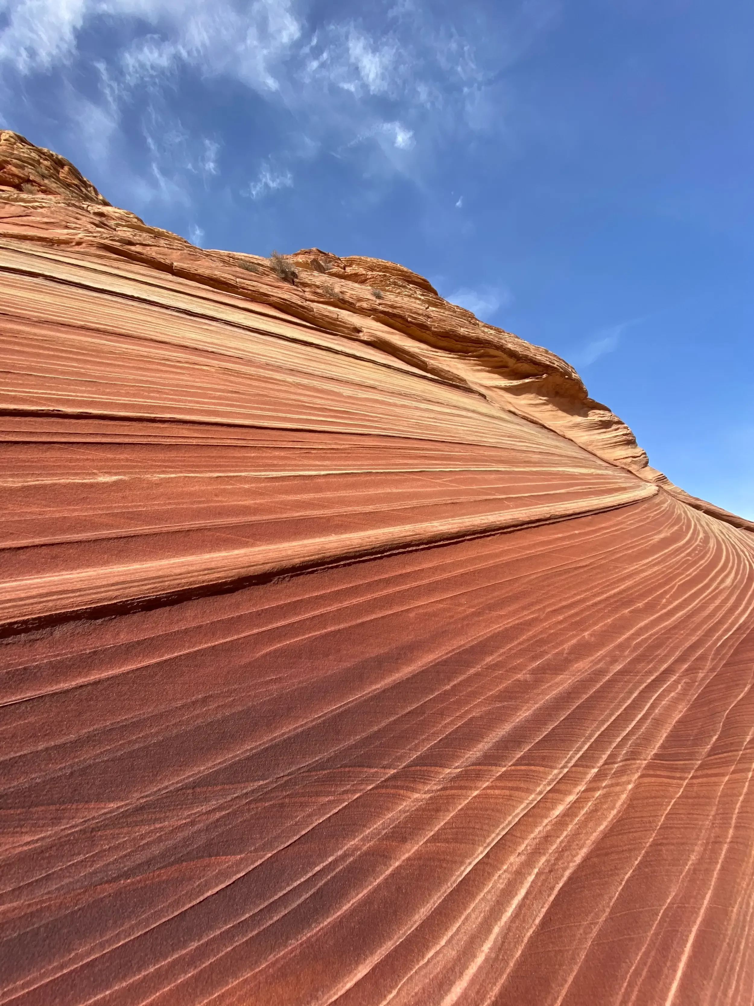 Holistic therapist Sacramento