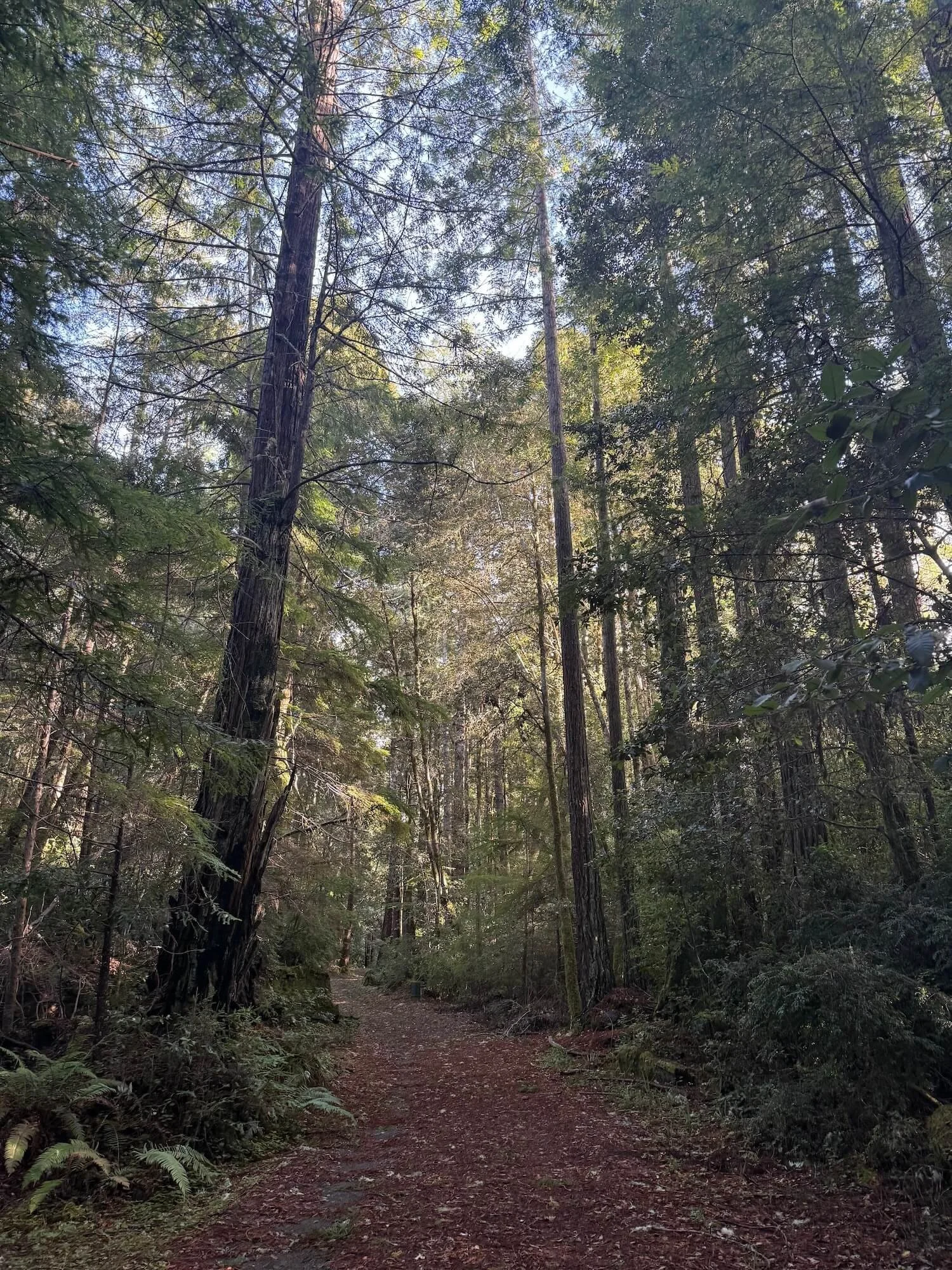 Spiritual therapy Sacramento