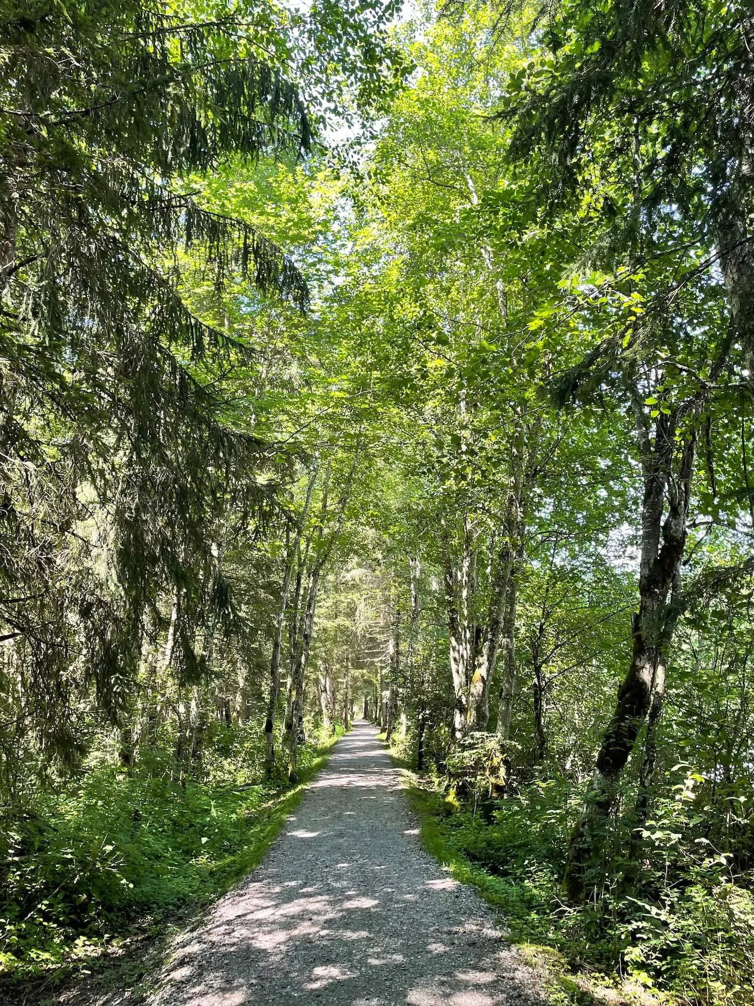 Therapist Sacramento