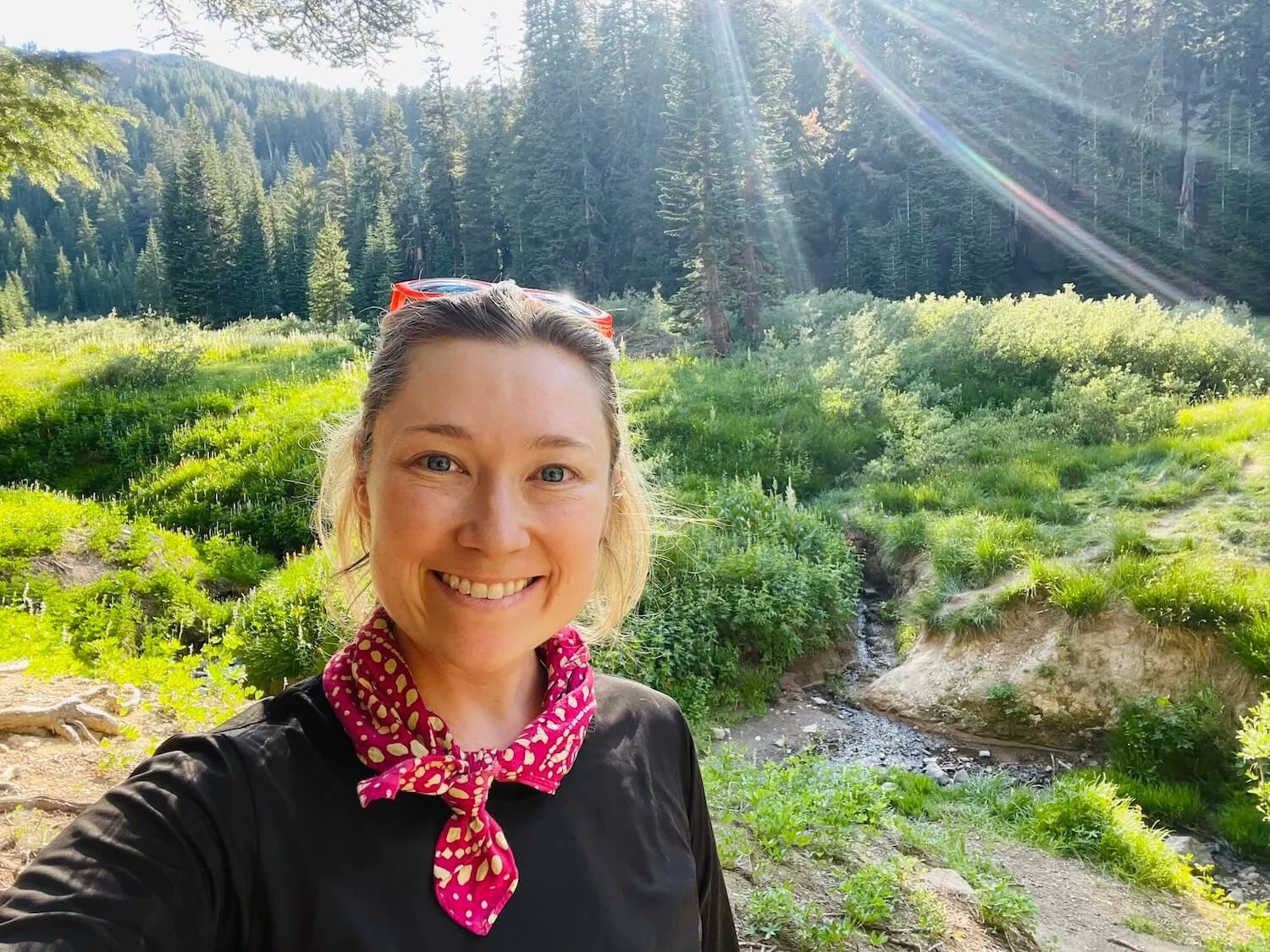 Mindfulness therapist Sacramento