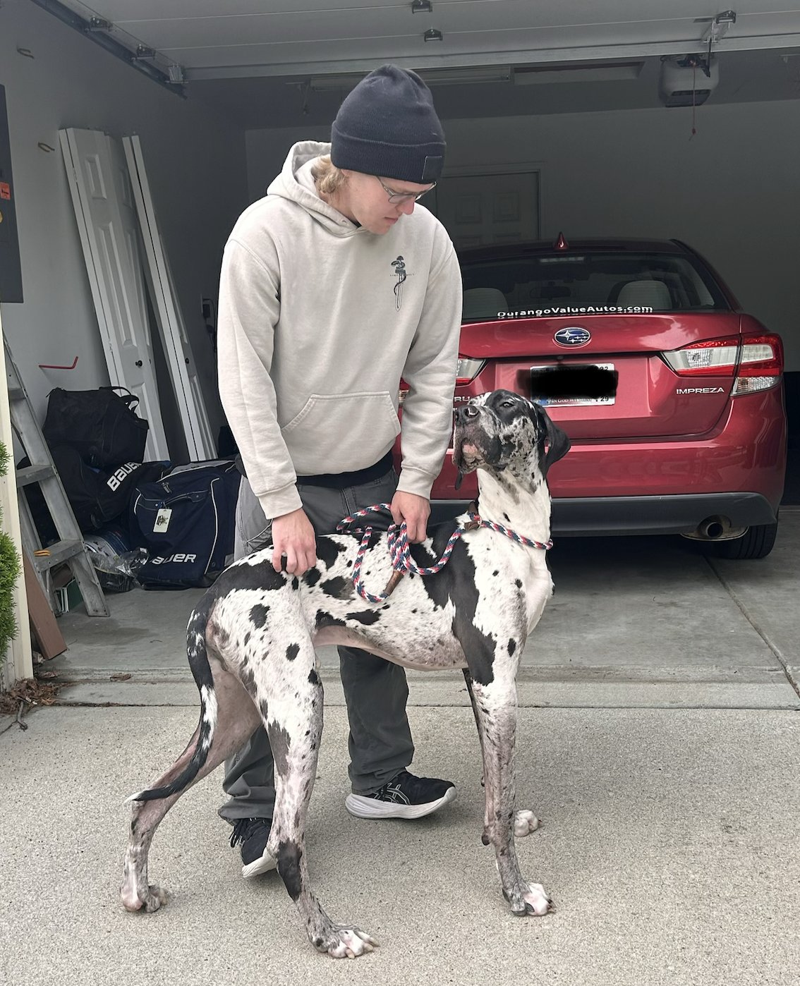 A young man in a beige hoodie and dark pants stands in a garage holding a rope leash attached to a large Great Dane dog. The dog is black and white with a speckled coat, looking up at the young man. In the background, there is a red Subaru Impreza car, some garage doors, and various tools and bags on the floor.