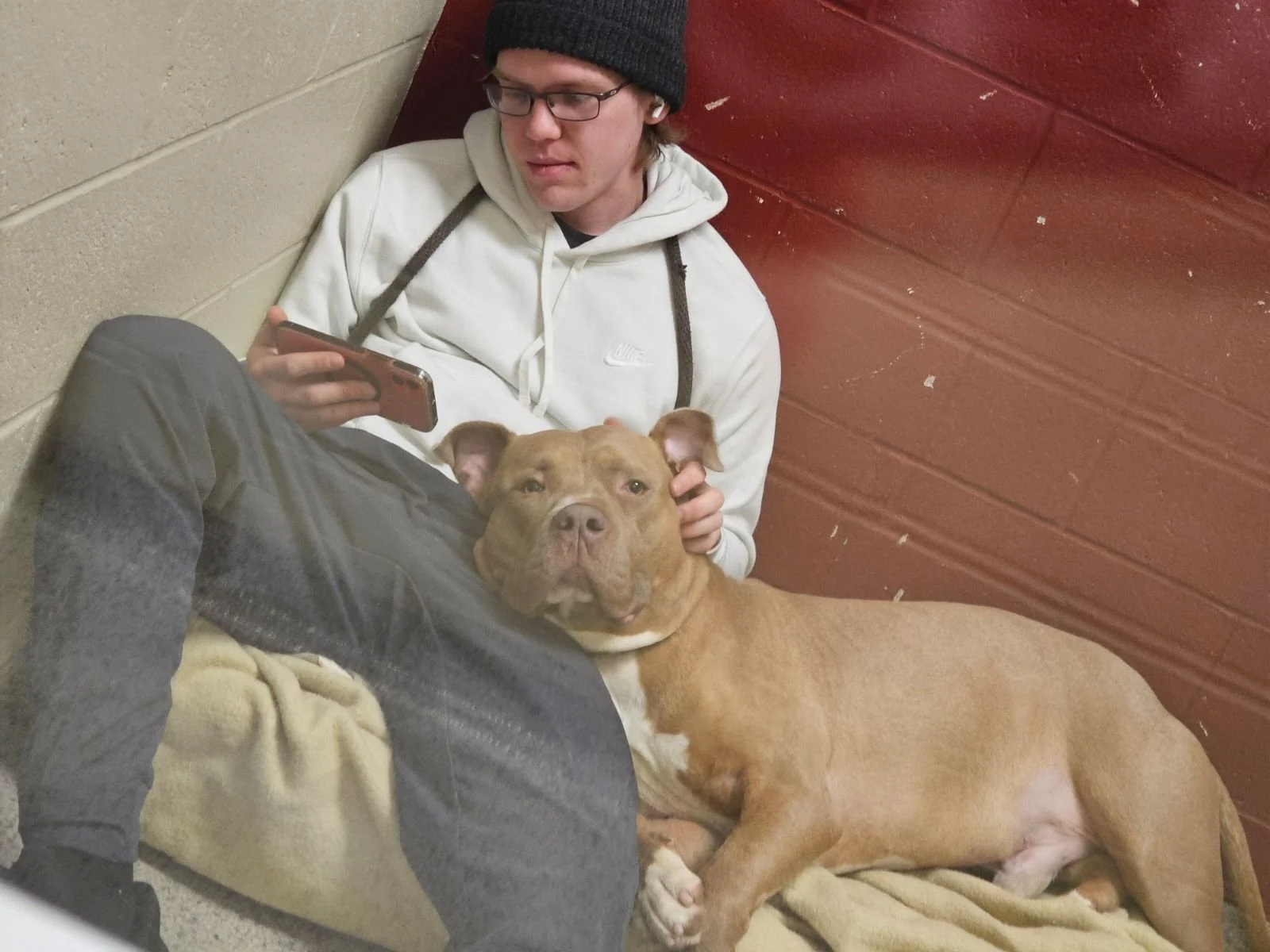 A young man with glasses, a beanie, and wireless earbuds sitting on the ground, holding a smartphone, with a large brown dog lying next to him, resting its head on the man's lap, against a wall with red and beige surfaces.