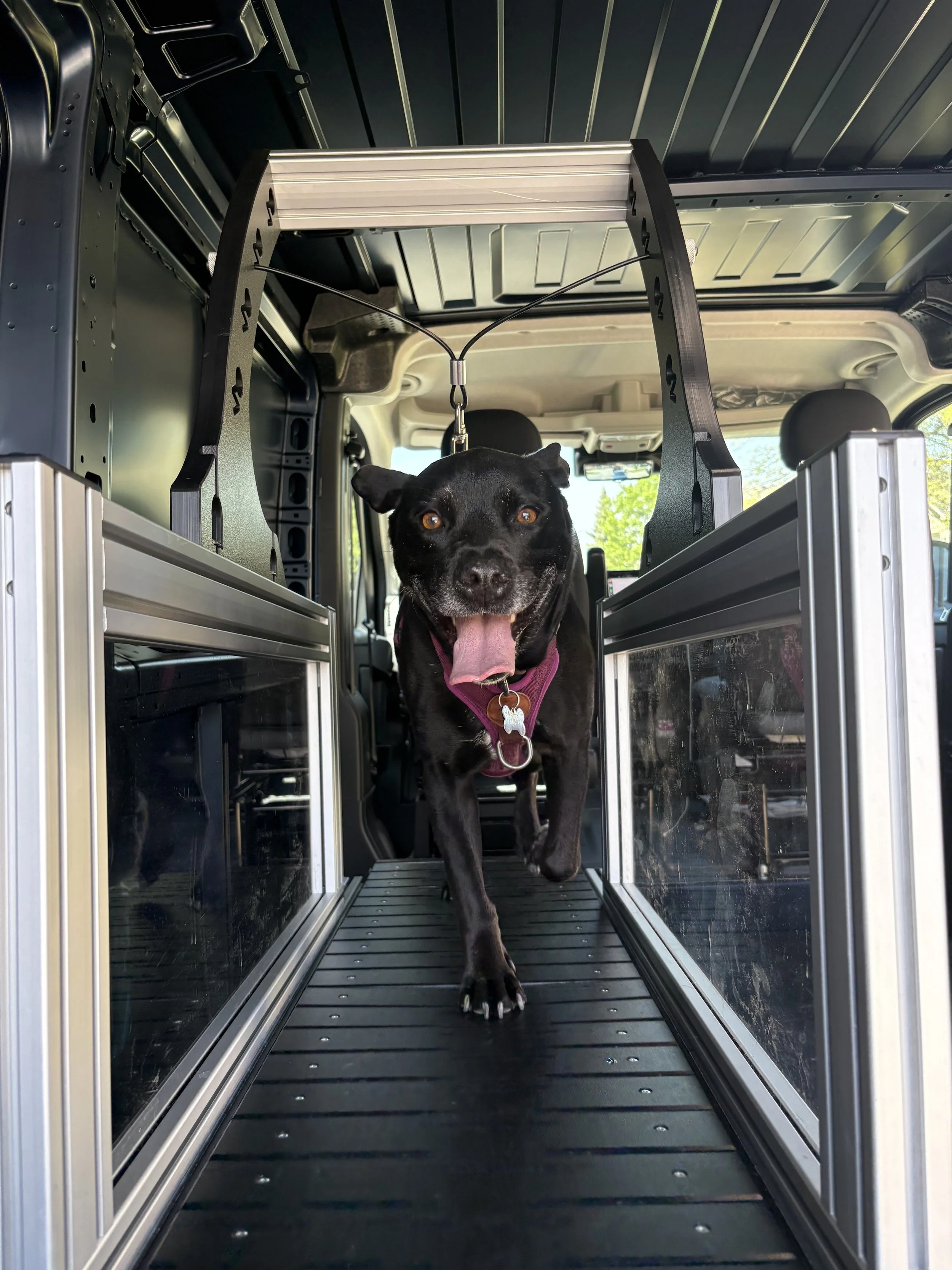 Black dog walking inside a pet crate with a metal frame, black sliding doors, and a black floor on a sunny day.