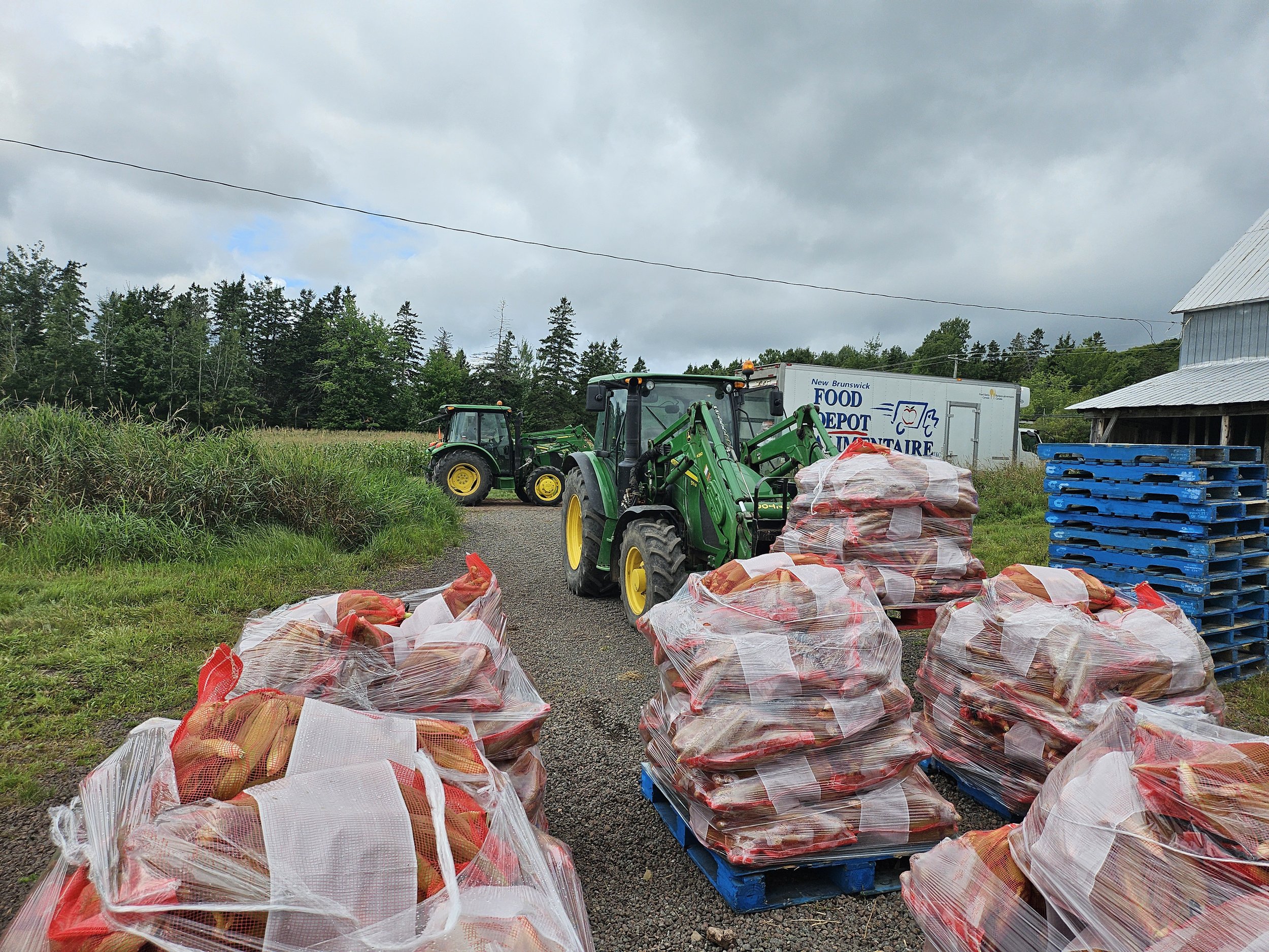 Bags of harvested onions stacked on pallets in front of tractors on a farm, with a food depot truck and a warehouse in the background.