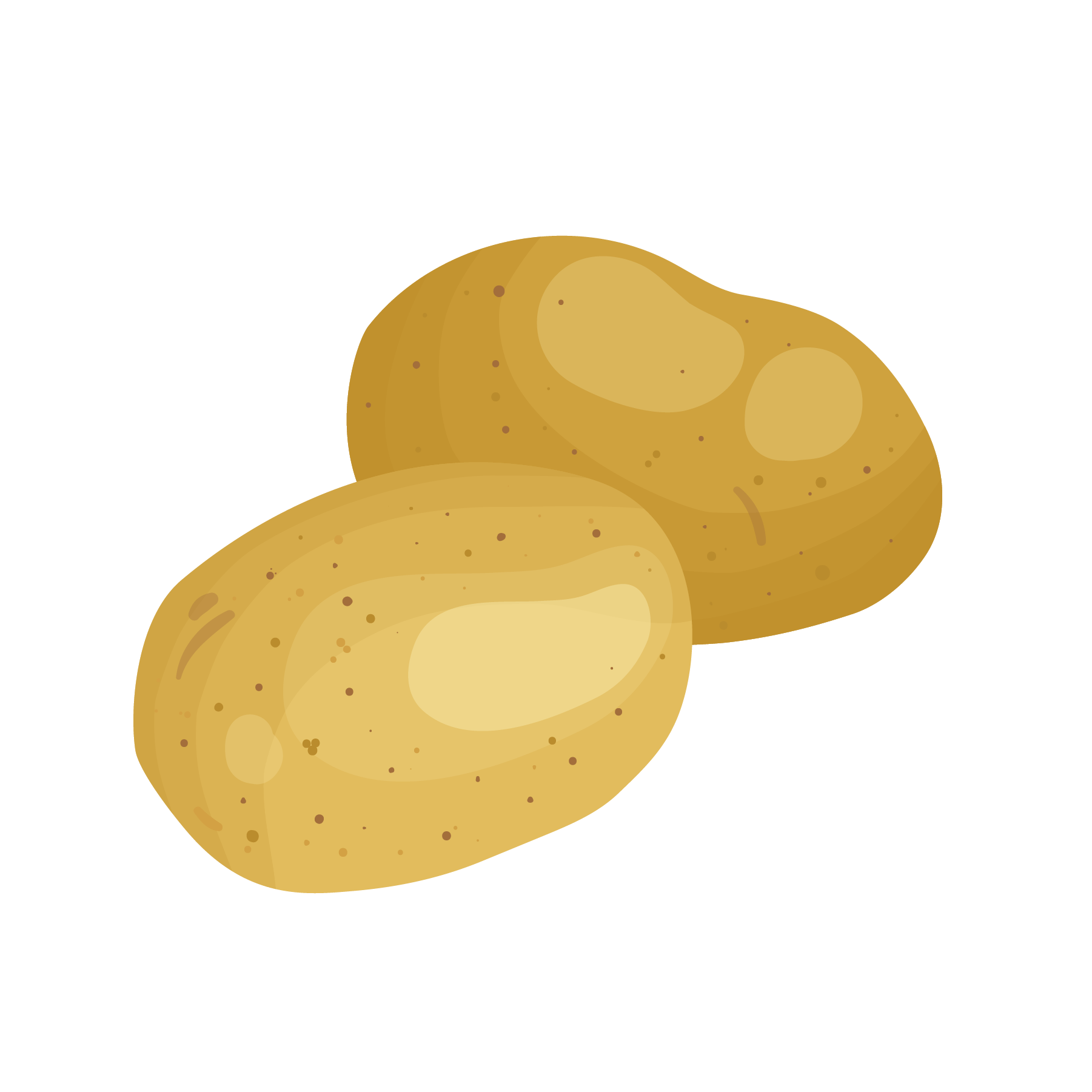 Illustration of two brown potatoes with smooth skin and round shape.