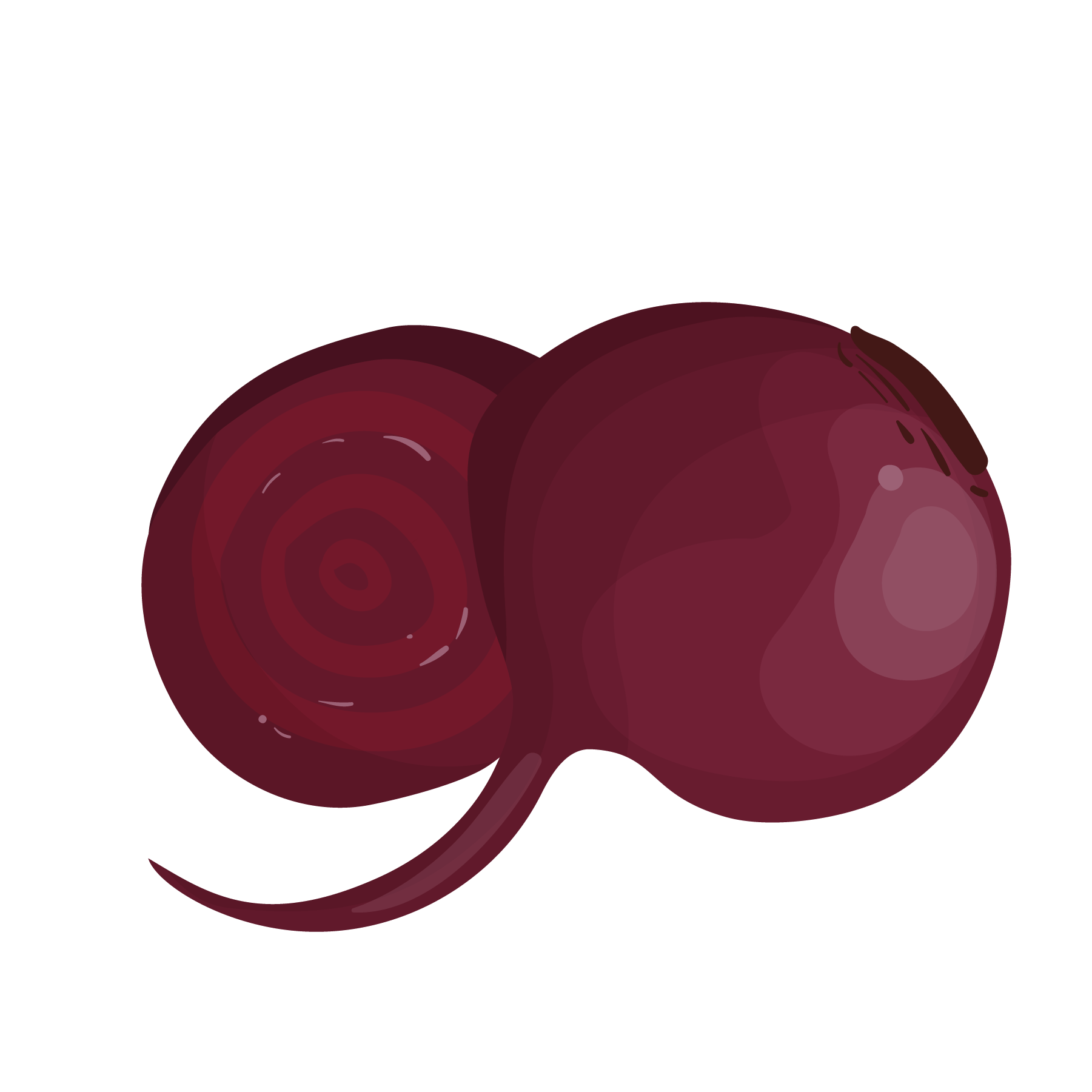 Illustration of beets cut in half, showing the layers inside.