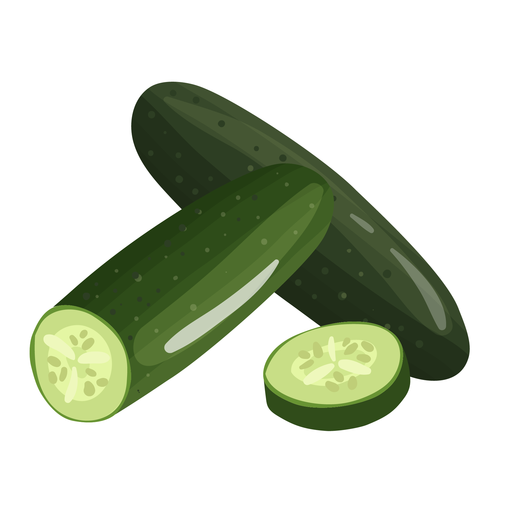 Digital illustration of two whole cucumbers, one sliced showing pale green interior and seeds, with a dark background.