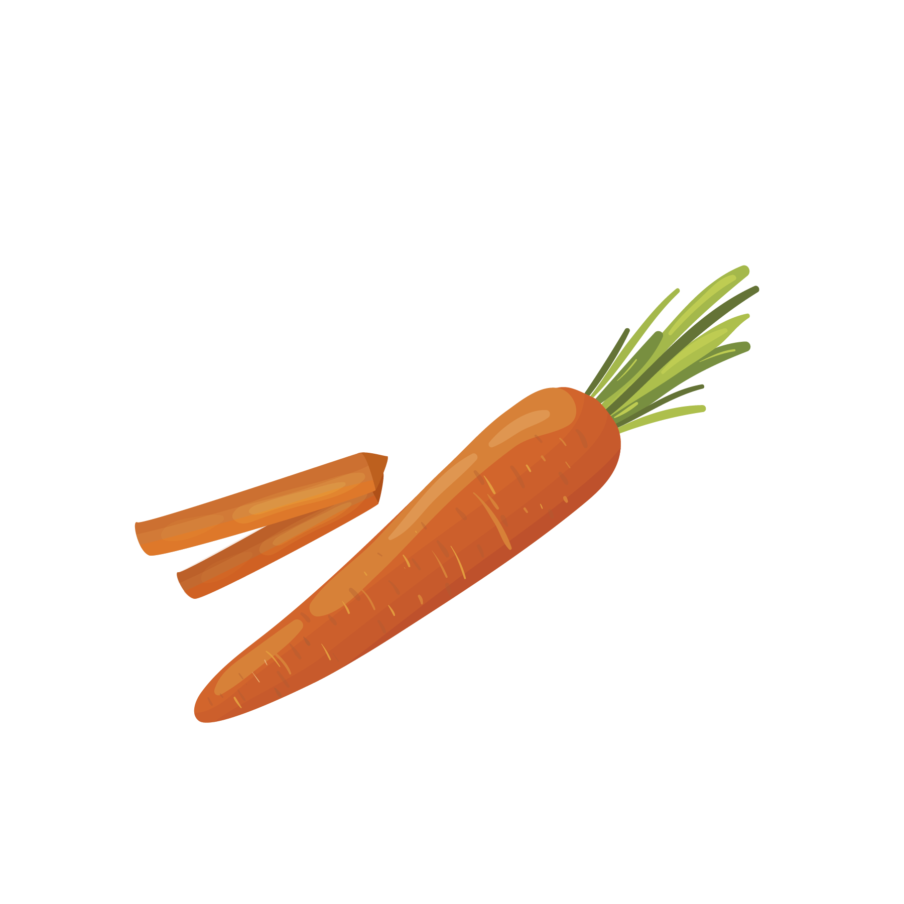 Digital illustration of a whole carrot with green leaves and two carrot slices.