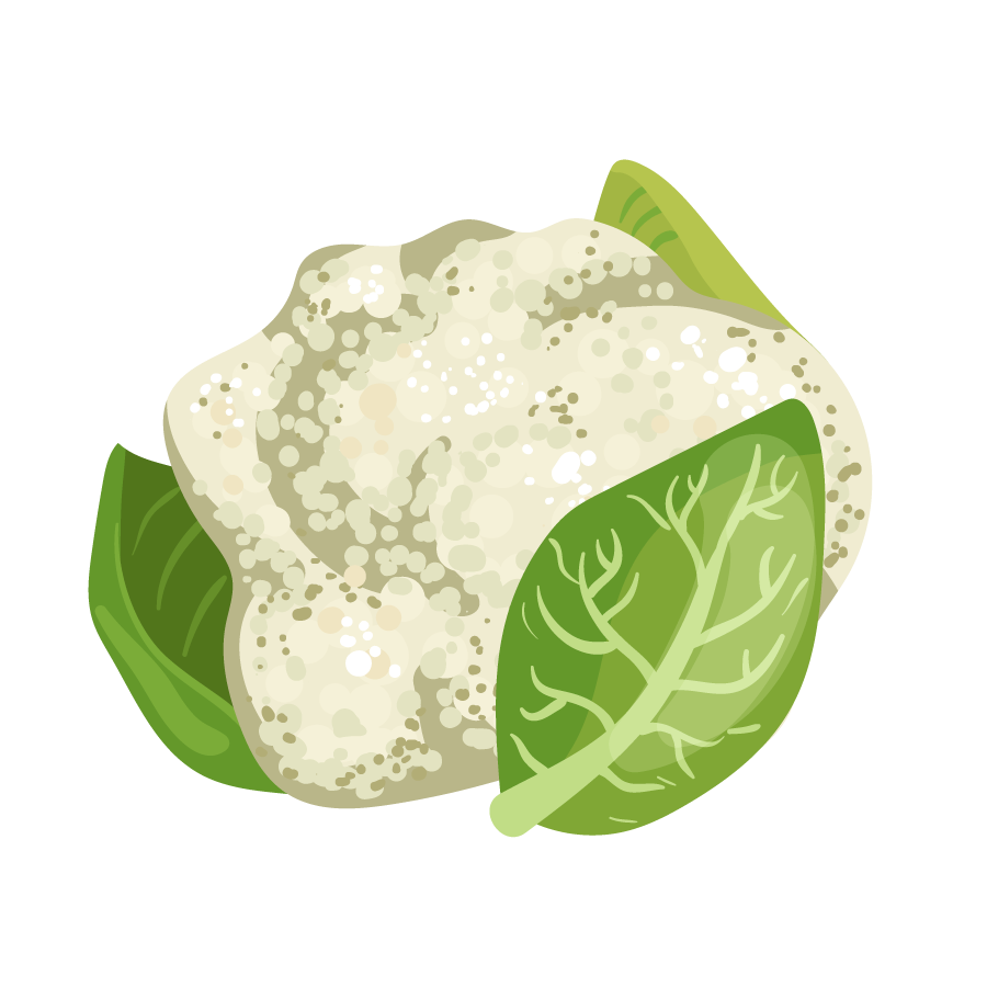 Illustration of a head of cauliflower partially wrapped in green leaves.