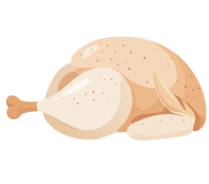 Illustration of a raw whole chicken with wings and leg.