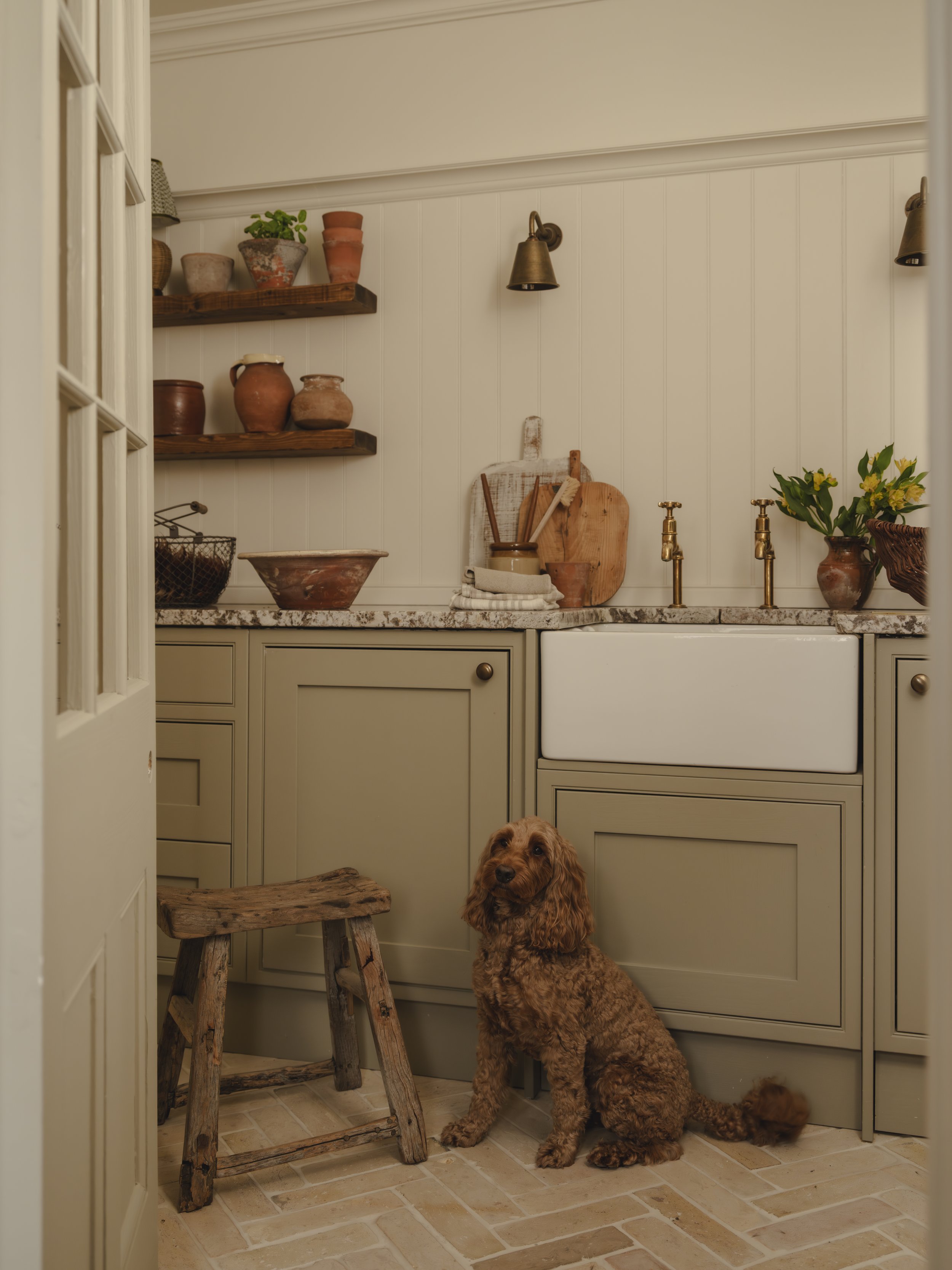 A cozy kitchen corner with a small brown dog sitting on a tiled floor next to a rustic wooden stool. The kitchen has beige cabinetry, a white farmhouse sink with brass fixtures, and a marble countertop. Shelves above hold various pottery and plants, 