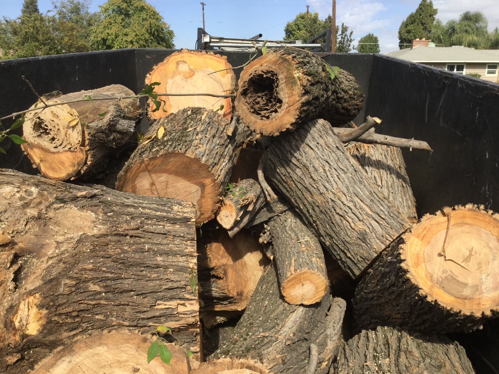 Stacked logs in a black truck bed with houses and trees in the background.