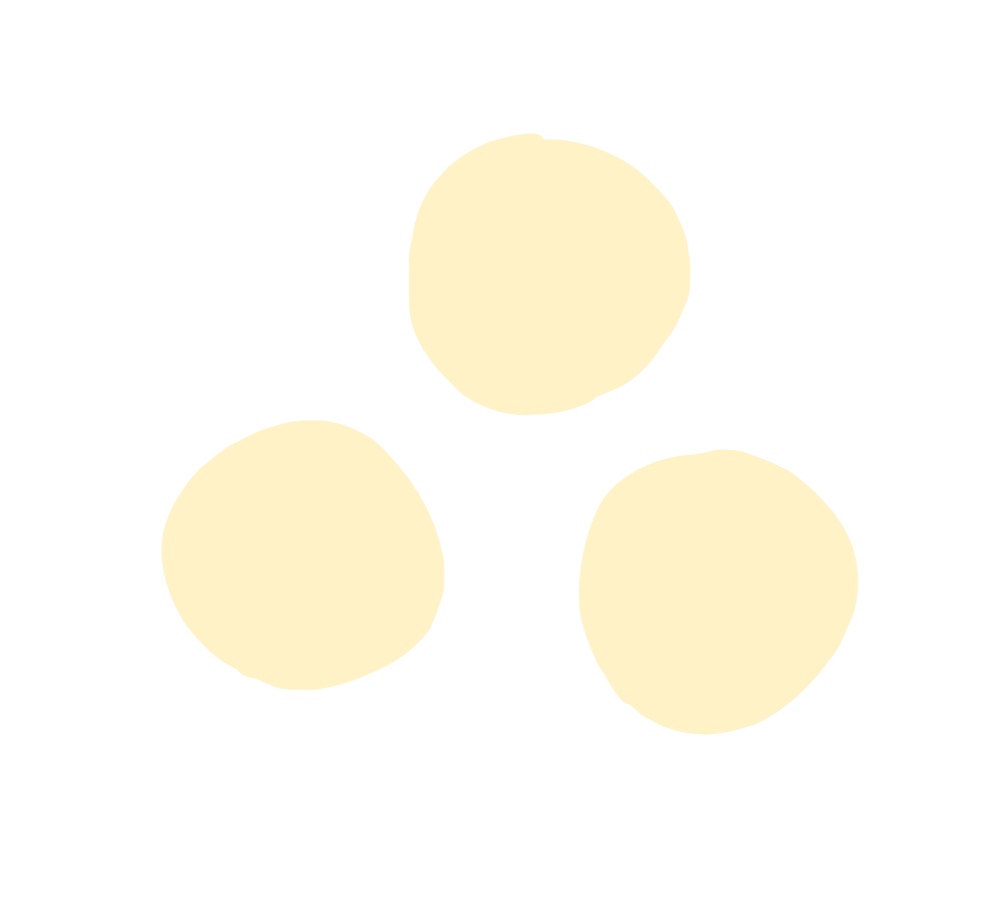 Alternative Ownership Financial Analyst &amp; Project Manager