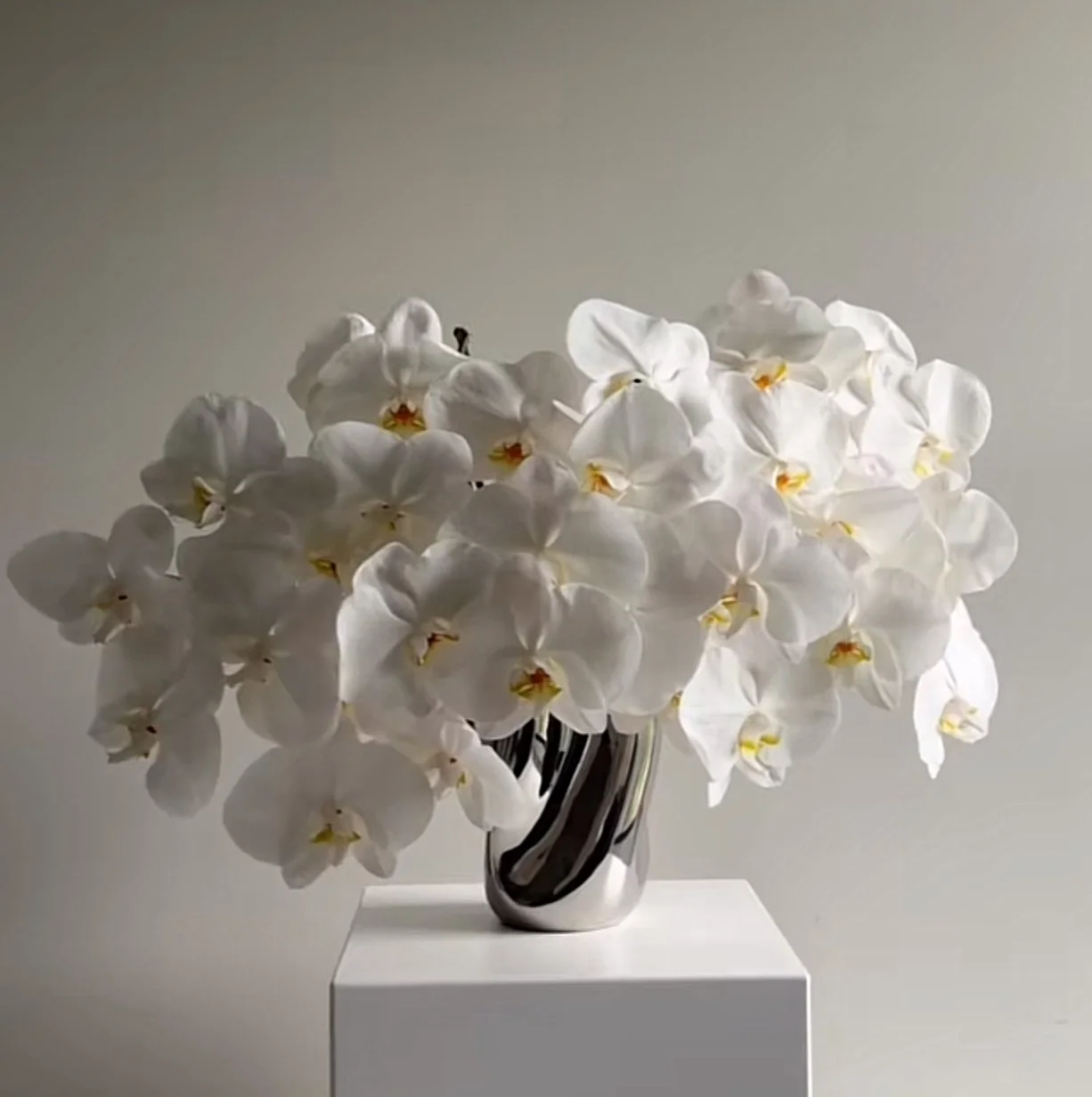 A black and white striped vase filled with white orchids with yellow centers, placed on a white pedestal against a plain light background.