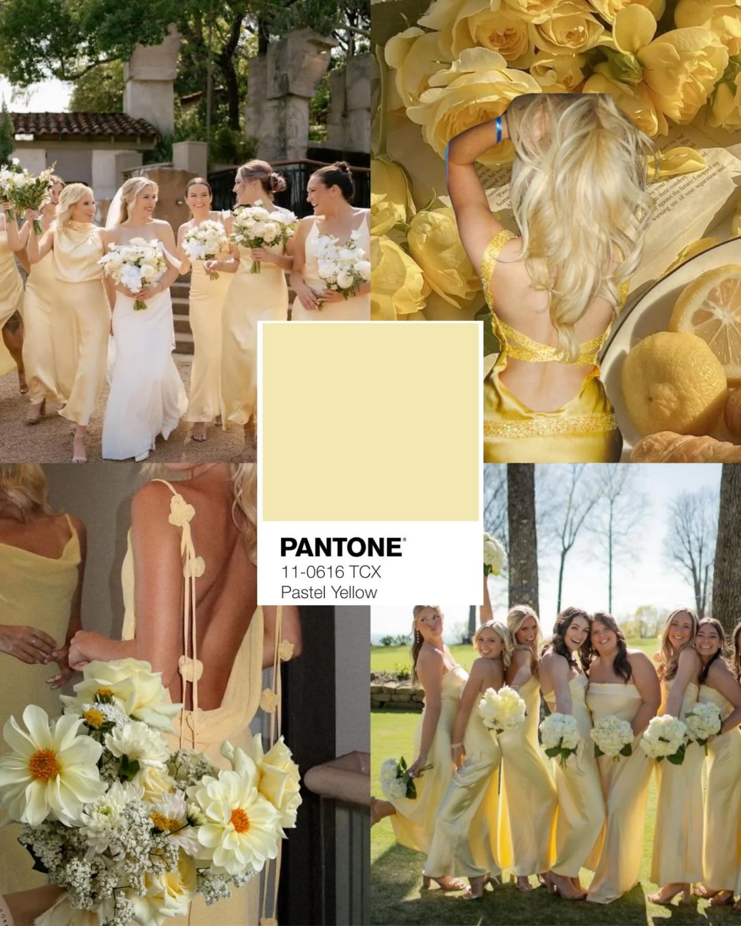 I&rsquo;m sorry but these bridesmaid colours will never miss 💛🩵🧡🩷

&hellip;and if I was planning your wedding, these are exactly what I&rsquo;d be pulling pantones wise!! 👀

your bridesmaids don&rsquo;t have to match perfectly&hellip; but they s