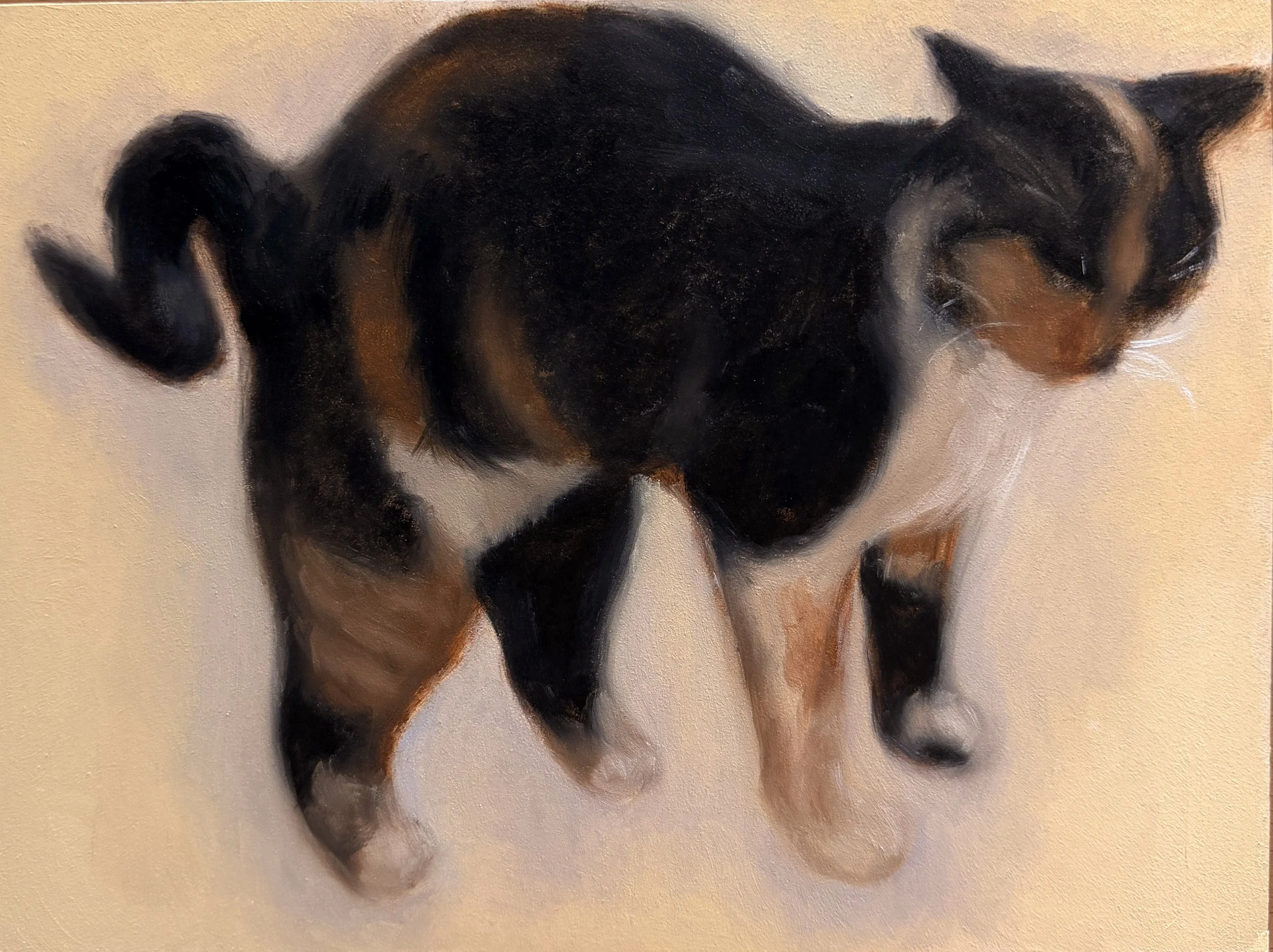 "Juniper, Stretching" - Fine Art Print