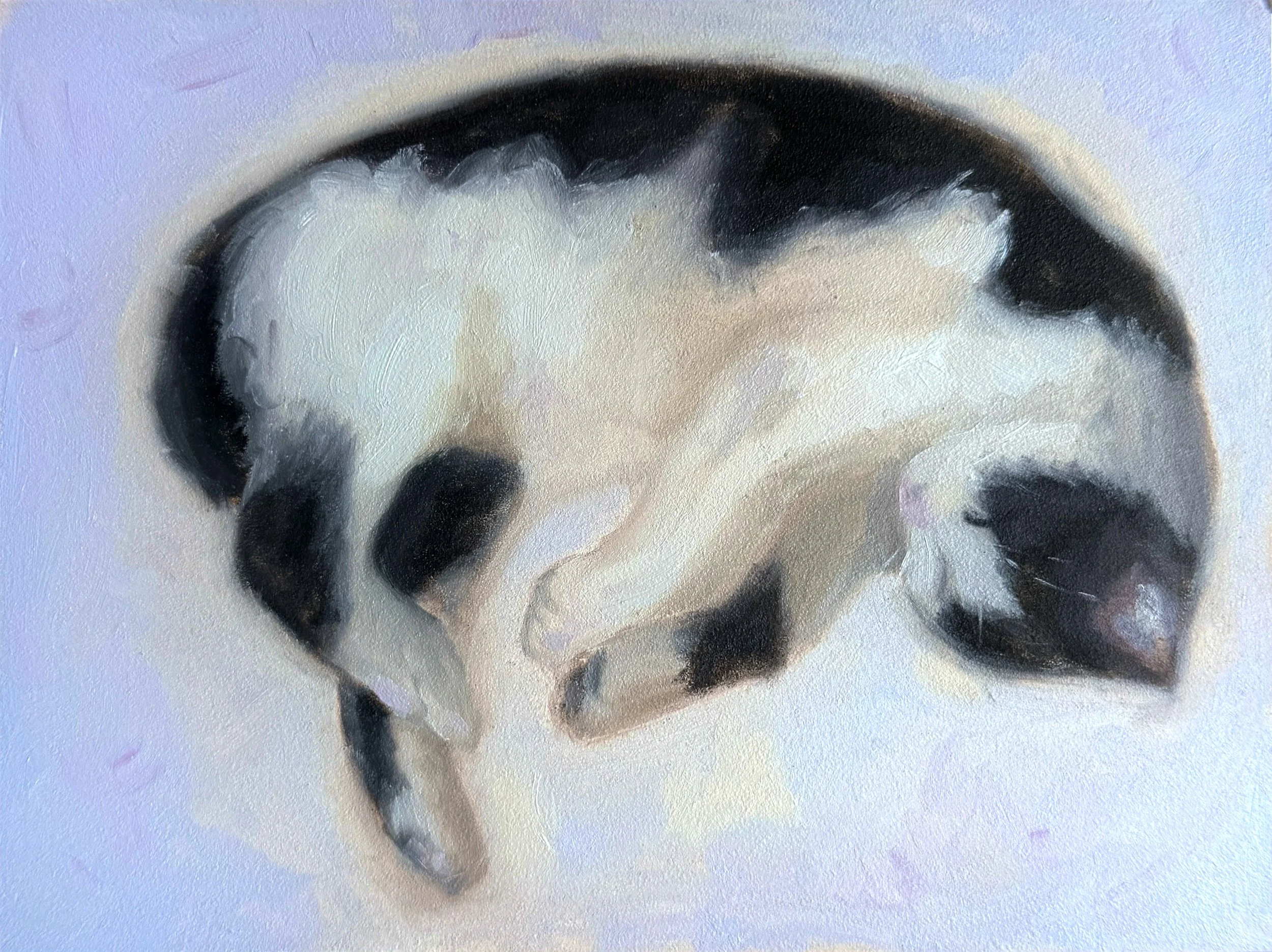 "Kevin, Asleep" - Fine Art Print
